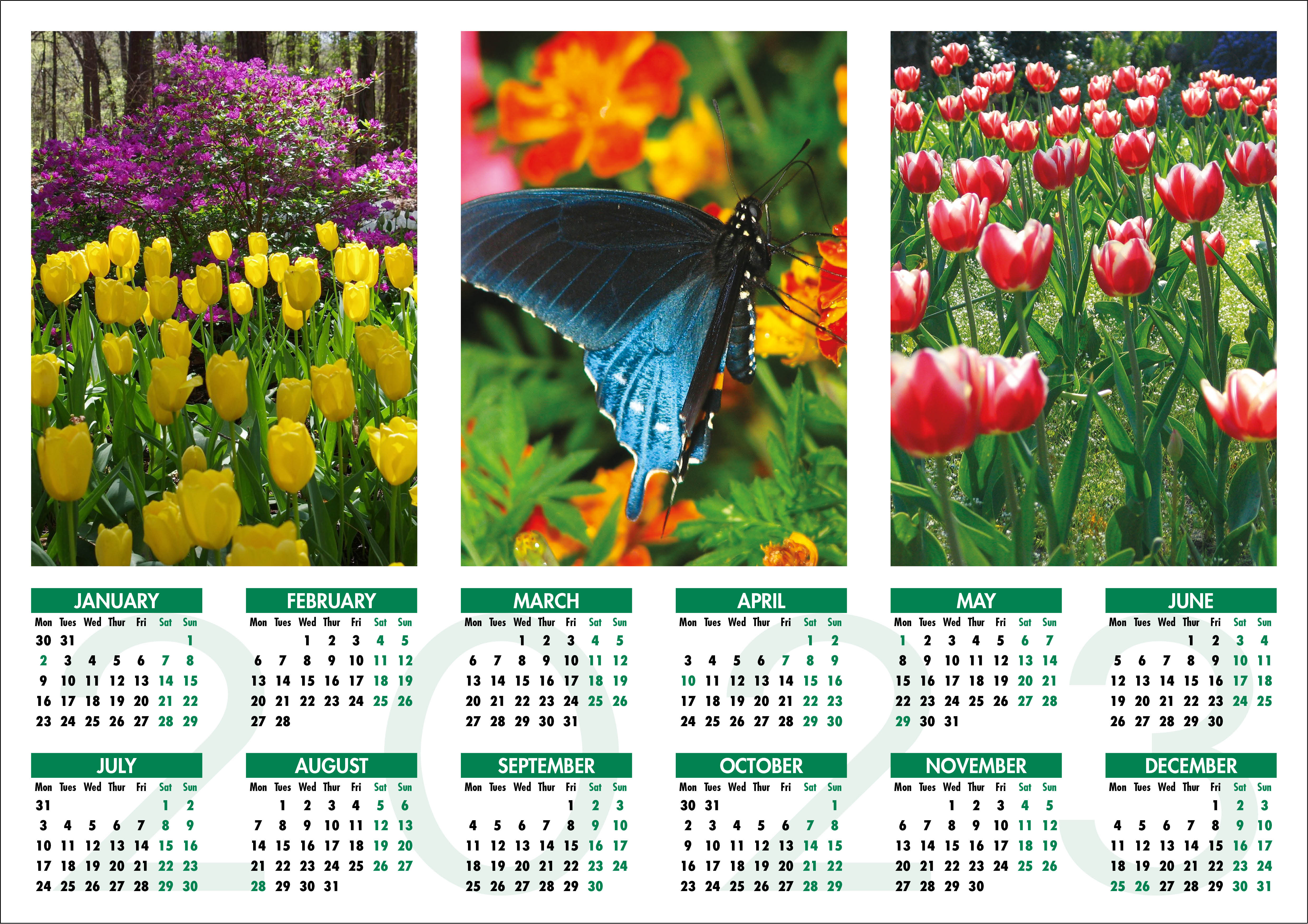 Picture of Yearplanner W05 Green
