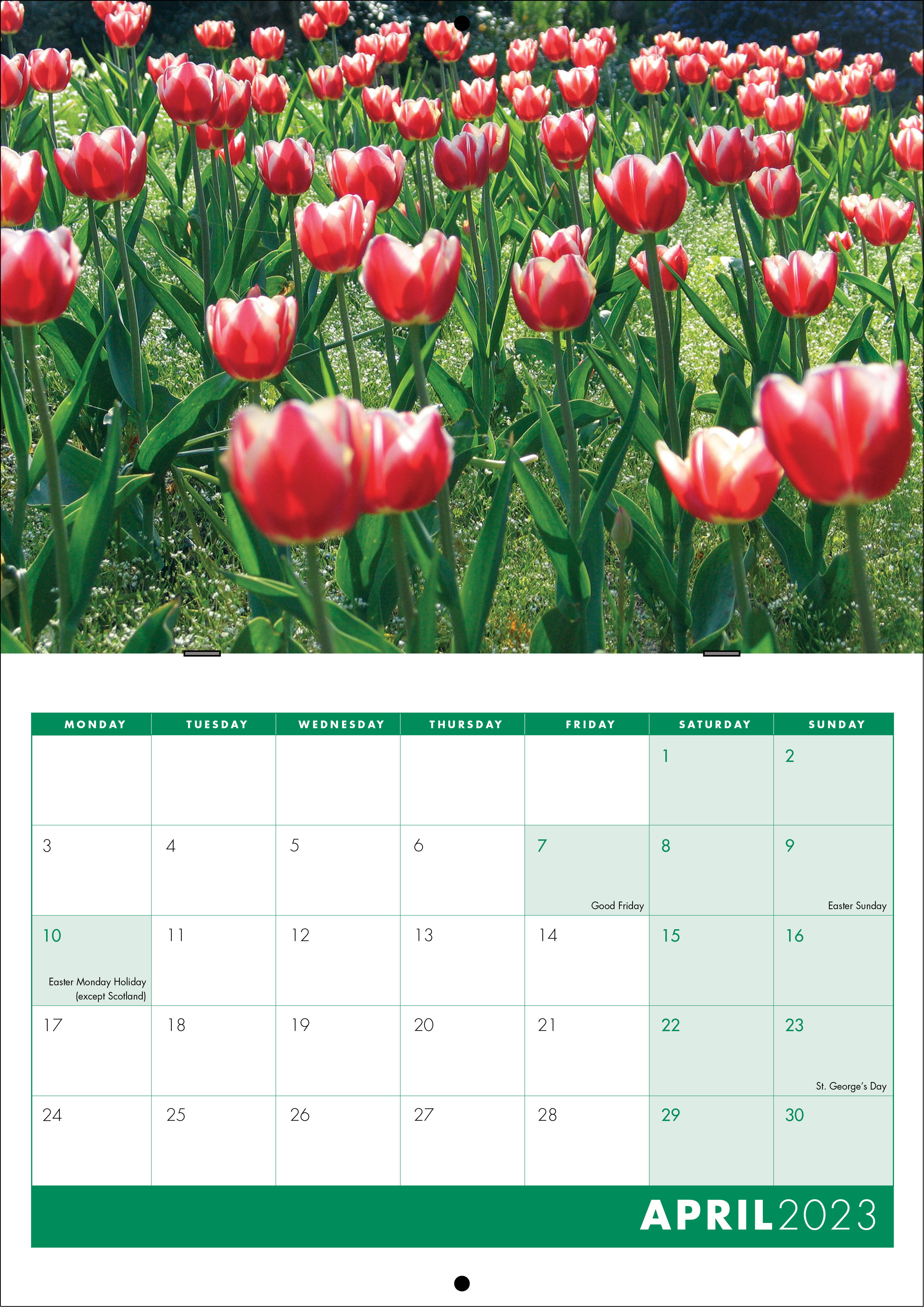 Picture of Booklet Calendar B03 Green