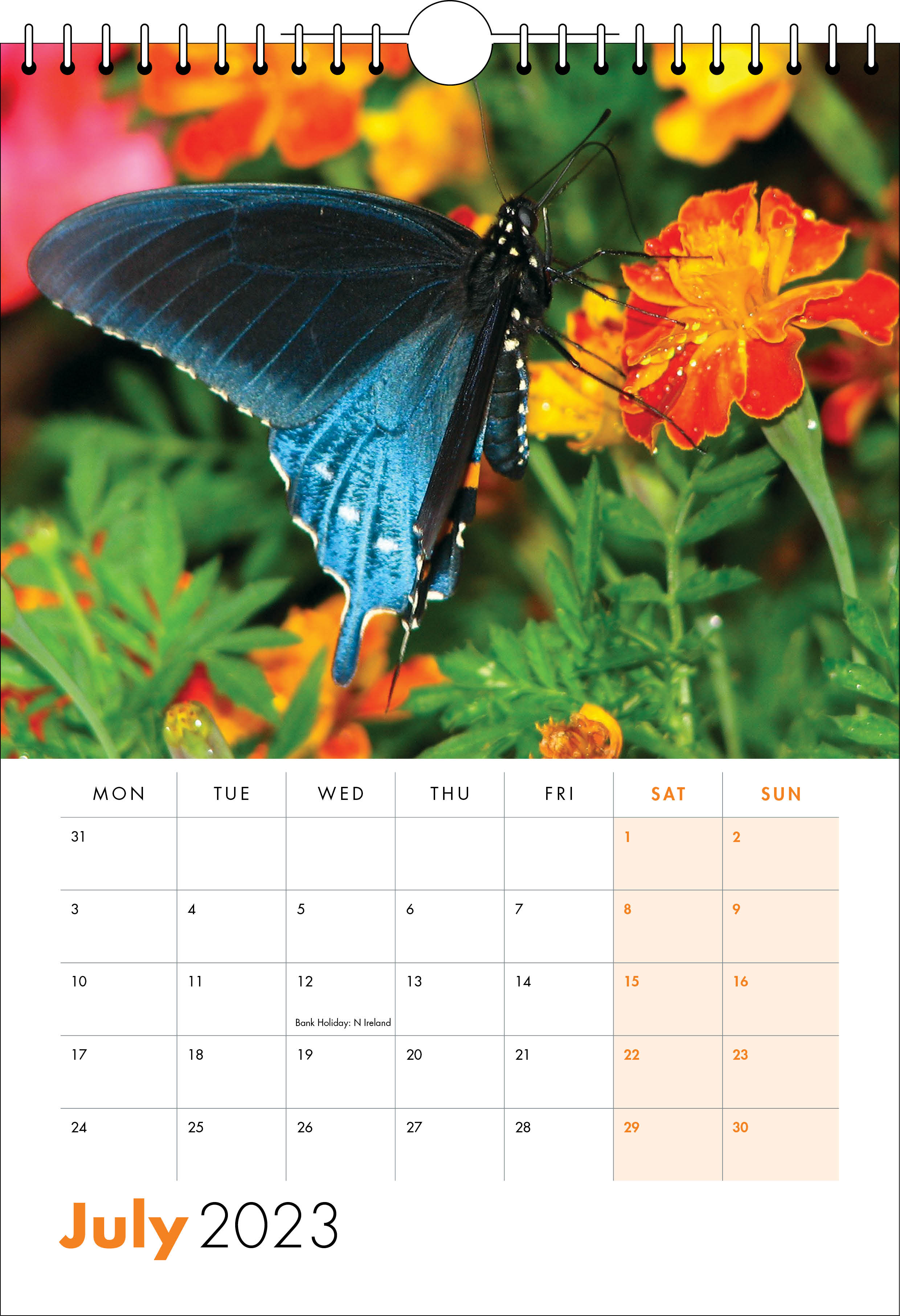 Picture of Spiral Calendar S23 Orange