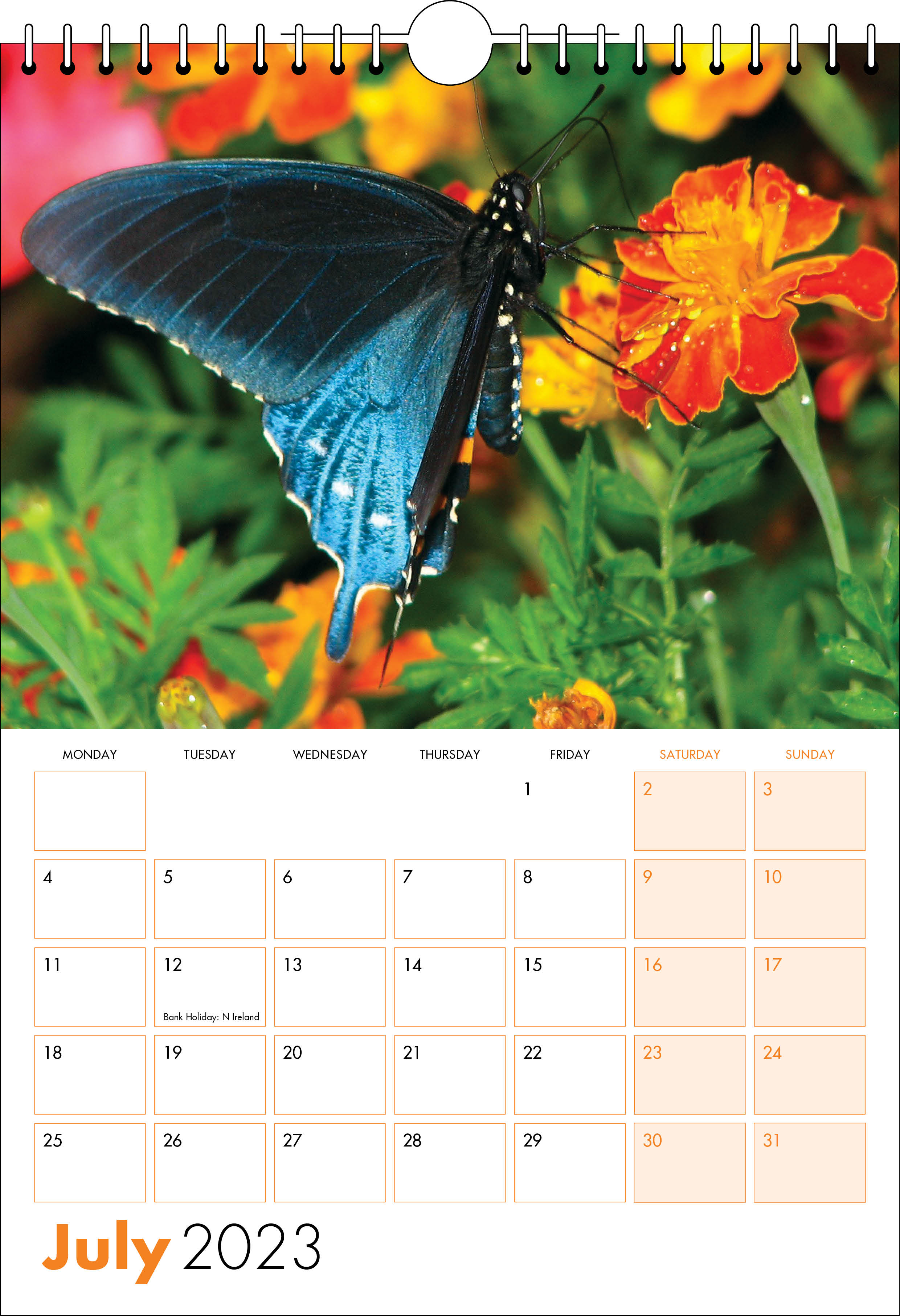 Picture of Spiral Calendar S08 Orange
