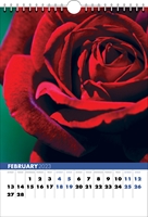 Picture of Spiral Calendar S05 Blue