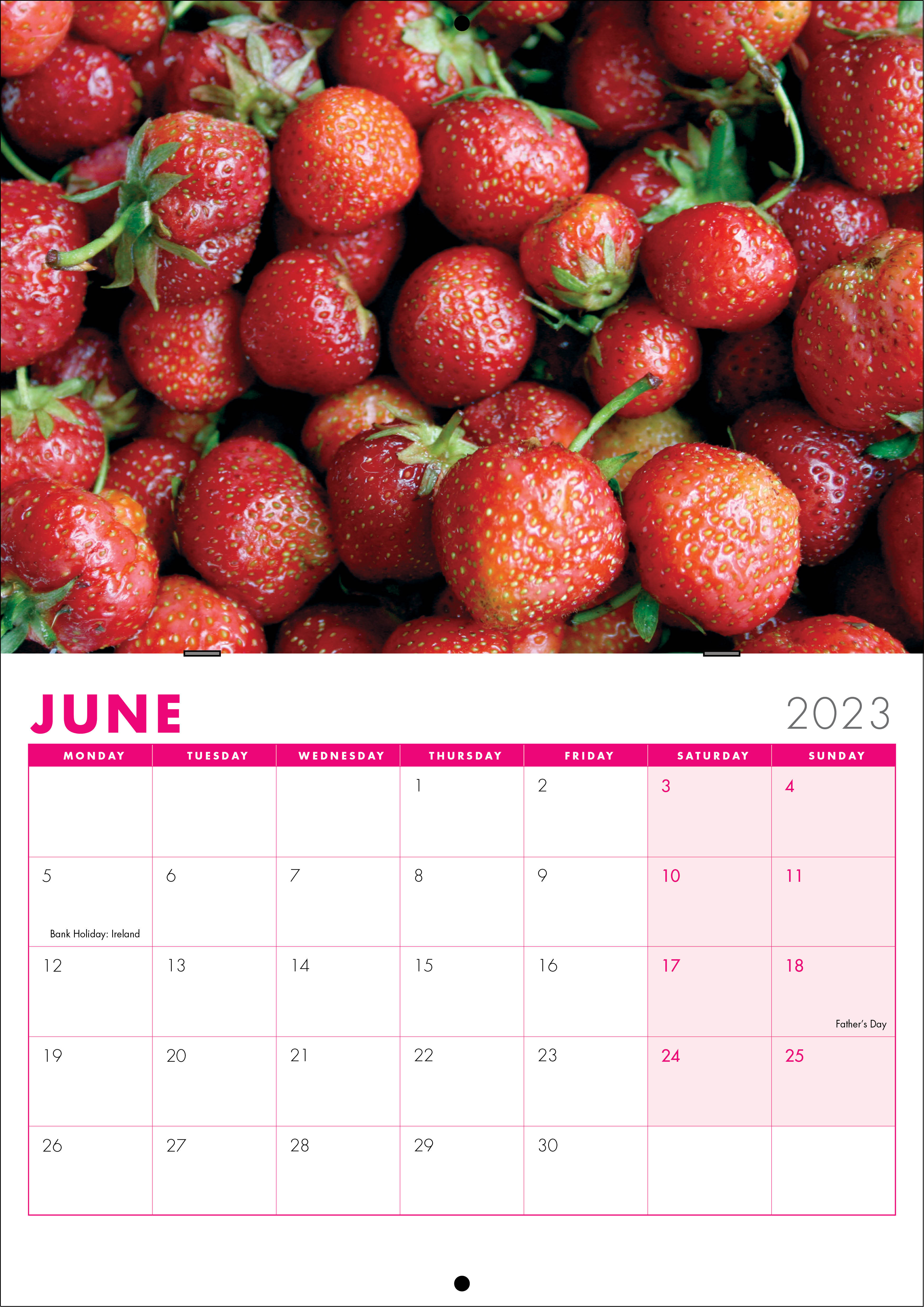Picture of Booklet Calendar B01 Hot Pink