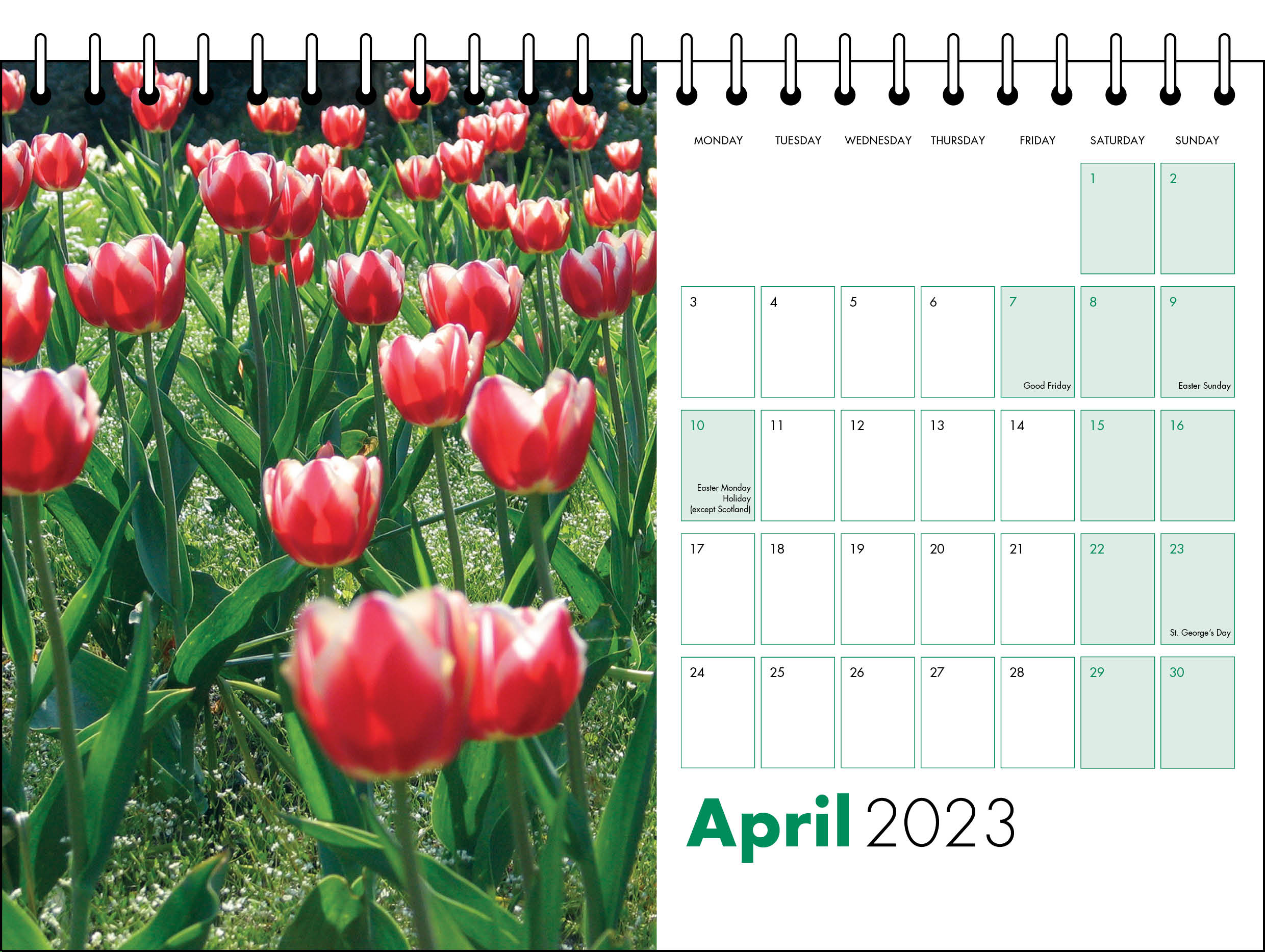 Picture of Desk Calendar D11 Green