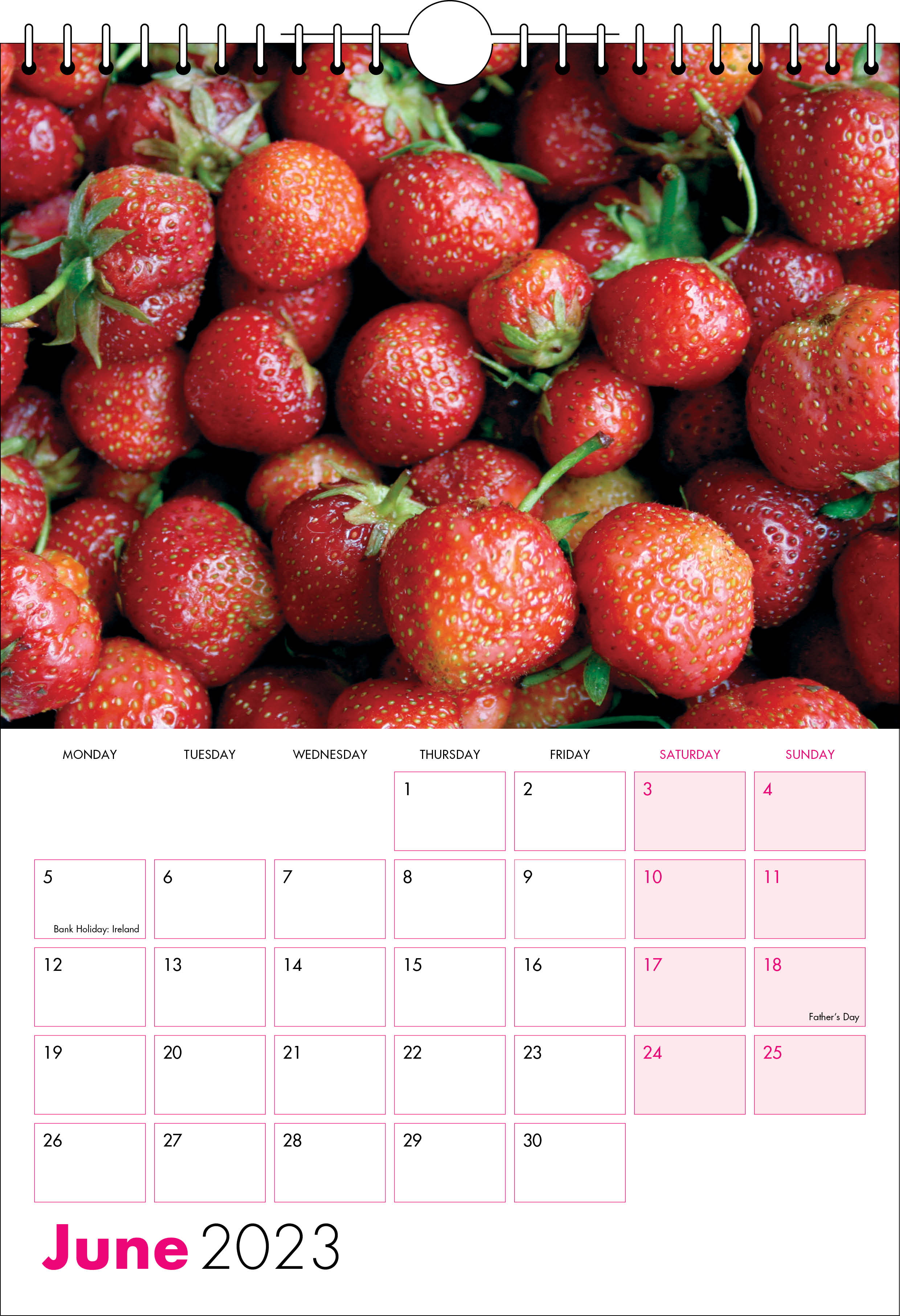 Picture of Spiral Calendar S08 Hot Pink