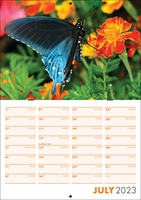 Picture of Booklet Calendar B02 Orange