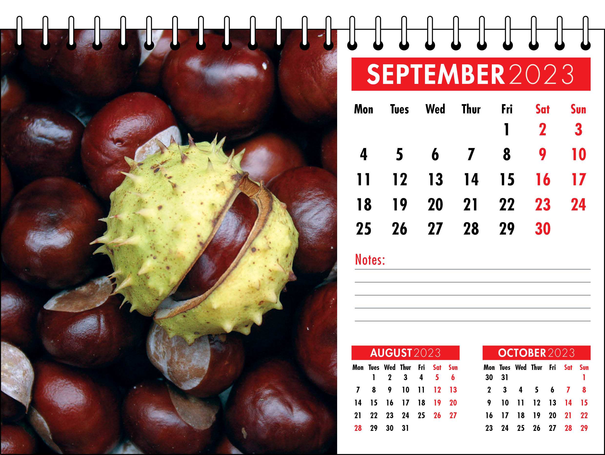 Picture of Desk Calendar D09 Red