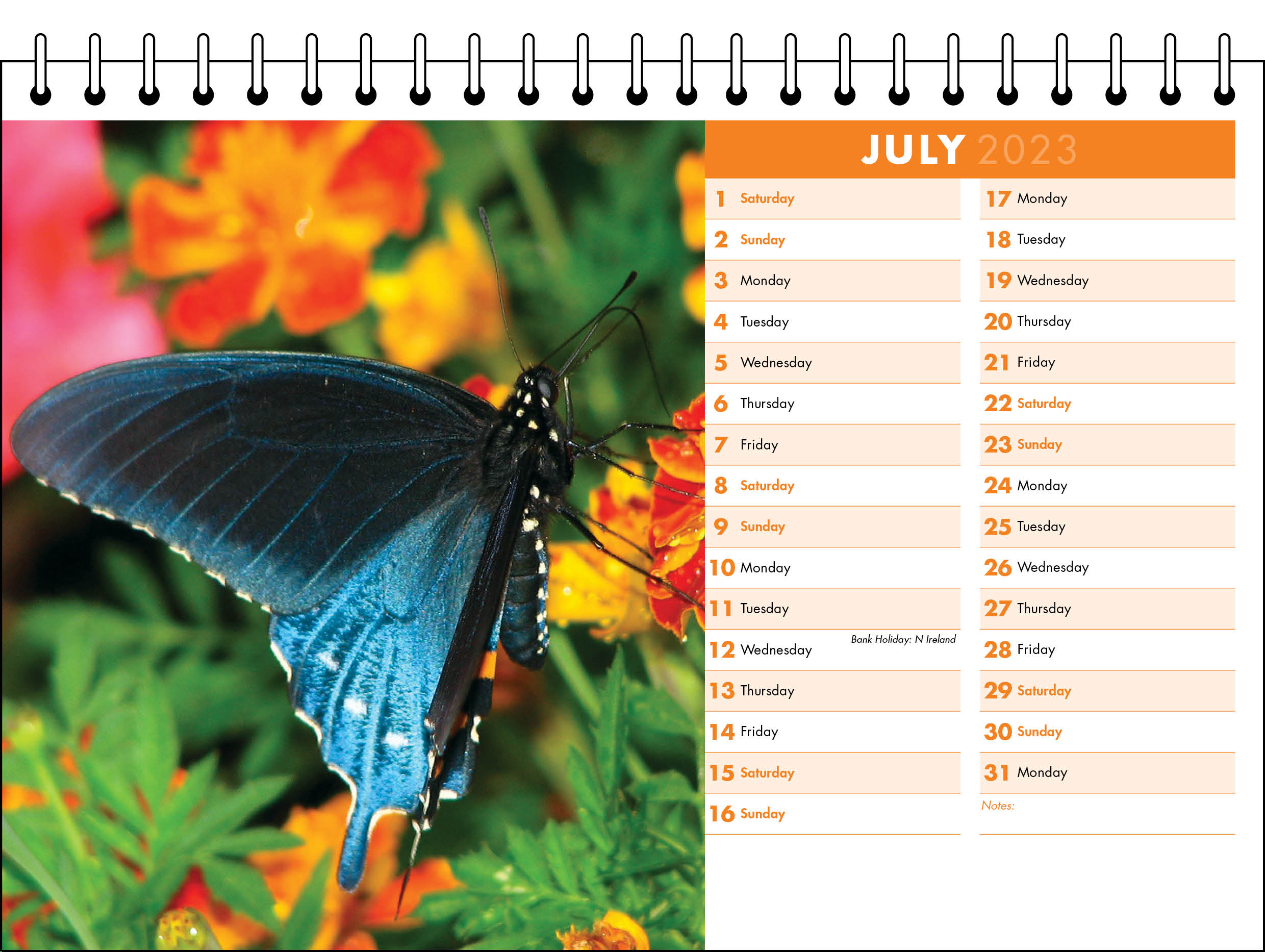 Picture of Desk Calendar D07 Orange