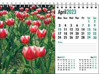 Picture of Desk Calendar D10 Green