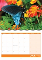 Picture of Spiral Booklet Calendar F03 Orange