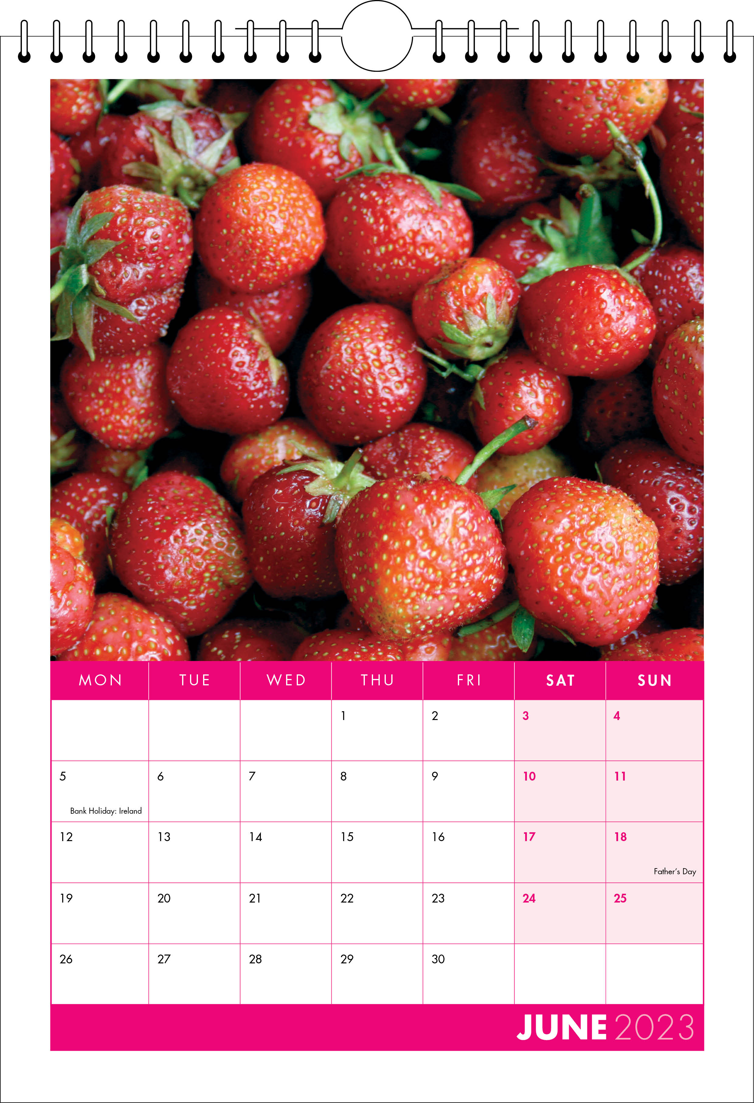 Picture of Spiral Calendar S14 Hot Pink