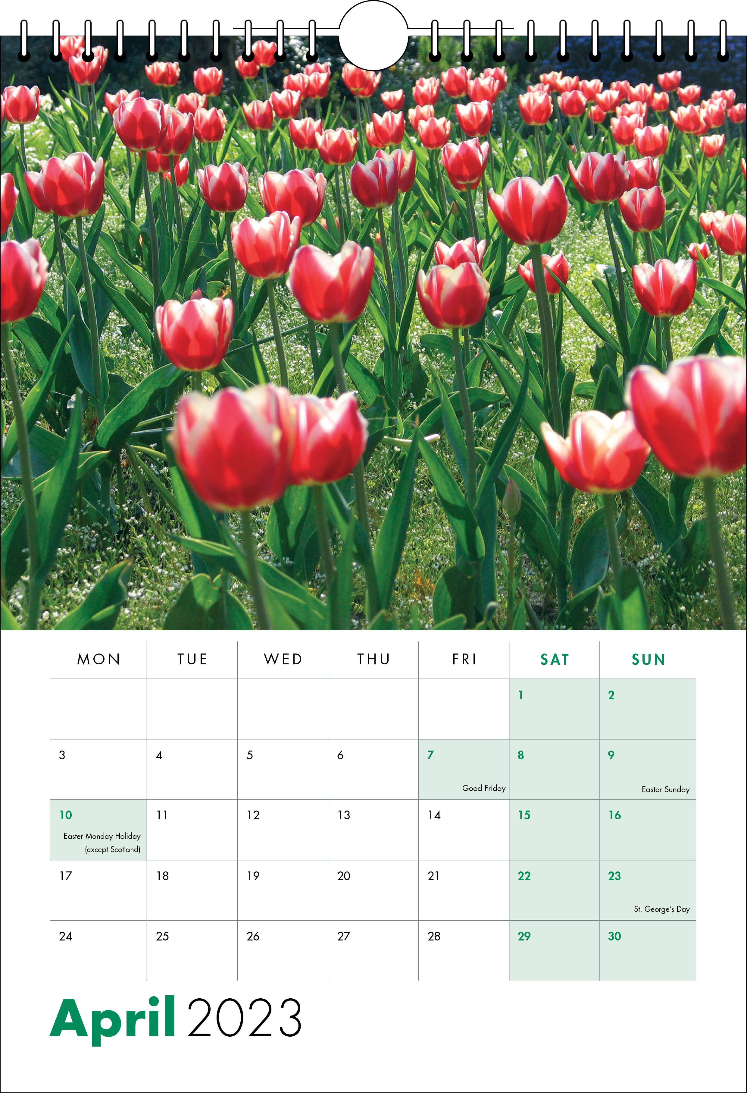 Picture of Spiral Calendar S23 Green