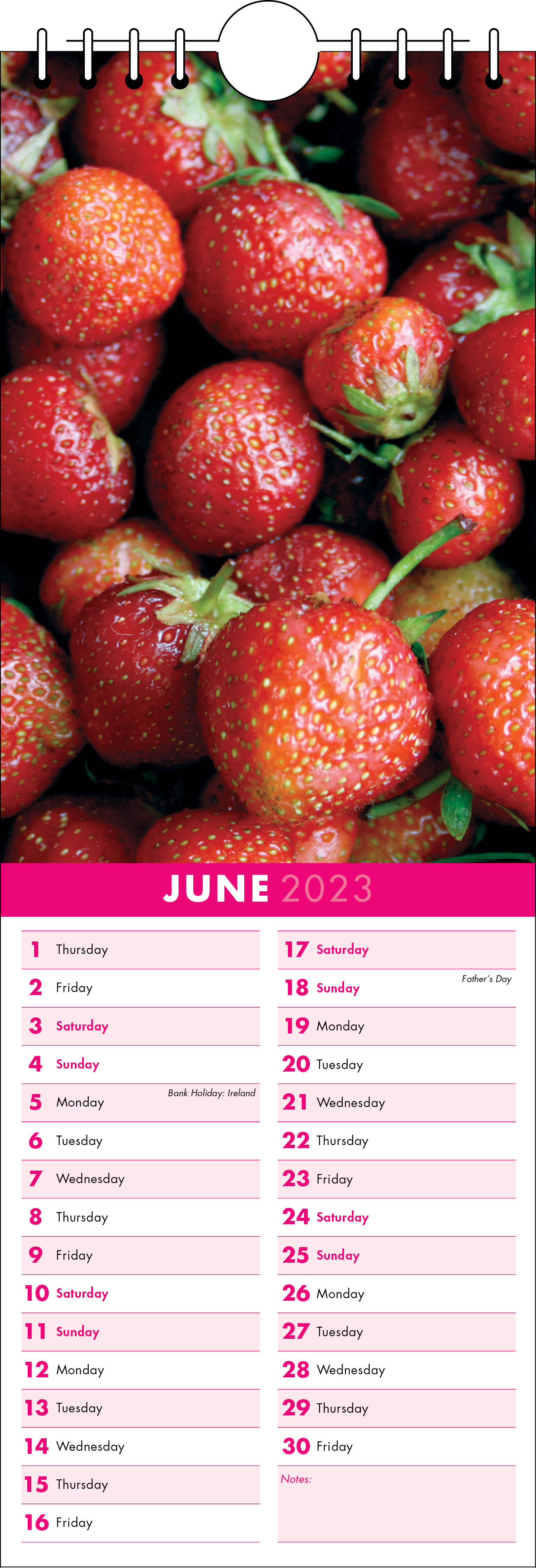 Picture of Kitchen Calendar K06 Hot Pink