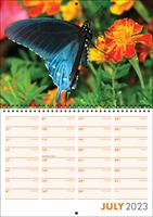 Picture of Spiral Booklet Calendar F02 Orange