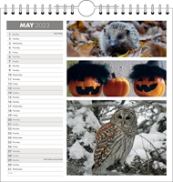 Picture of Spiral Calendar Q22 Grey