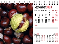 Picture of Desk Calendar D10 Red