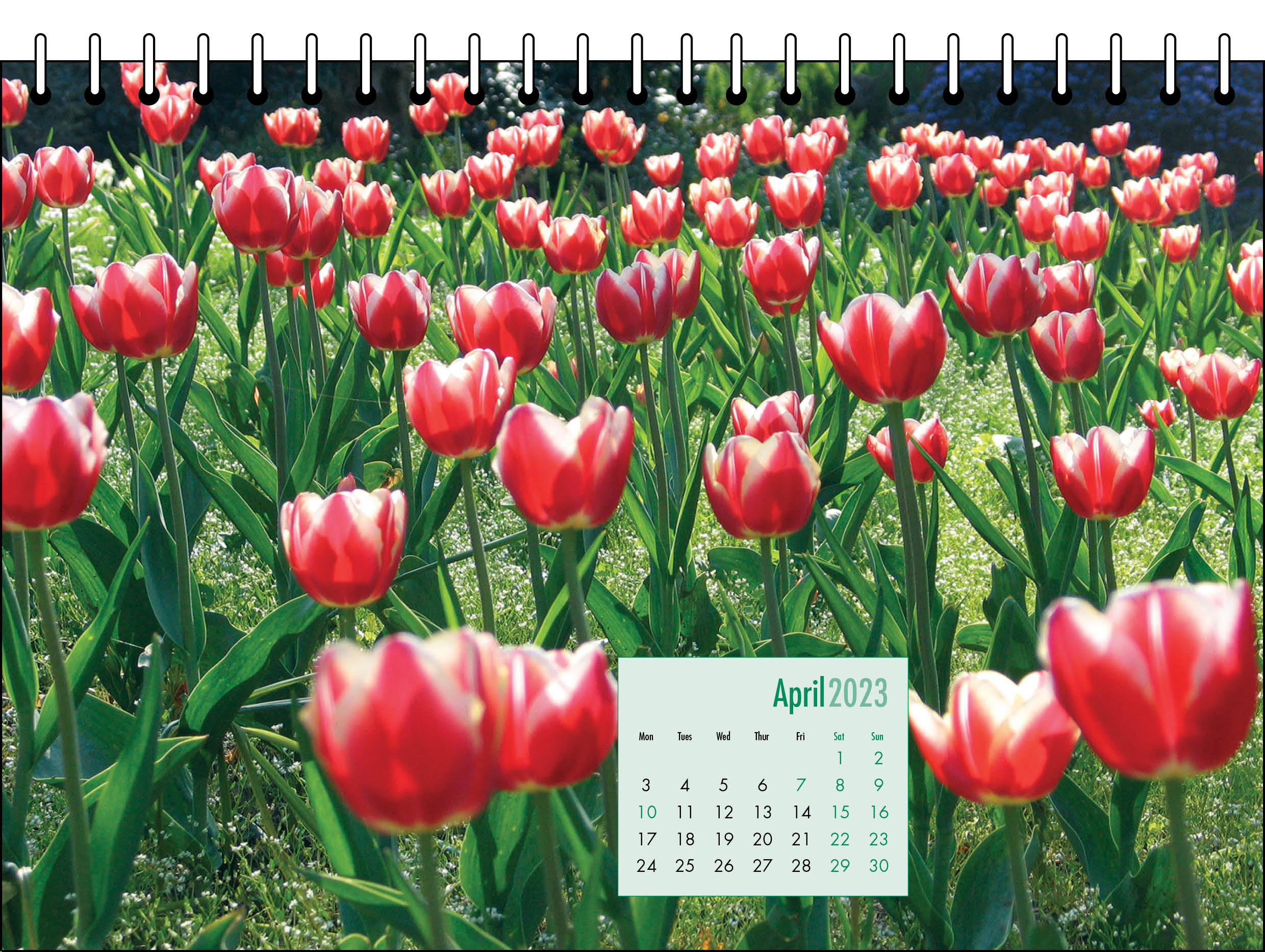 Picture of Desk Calendar D12 Green