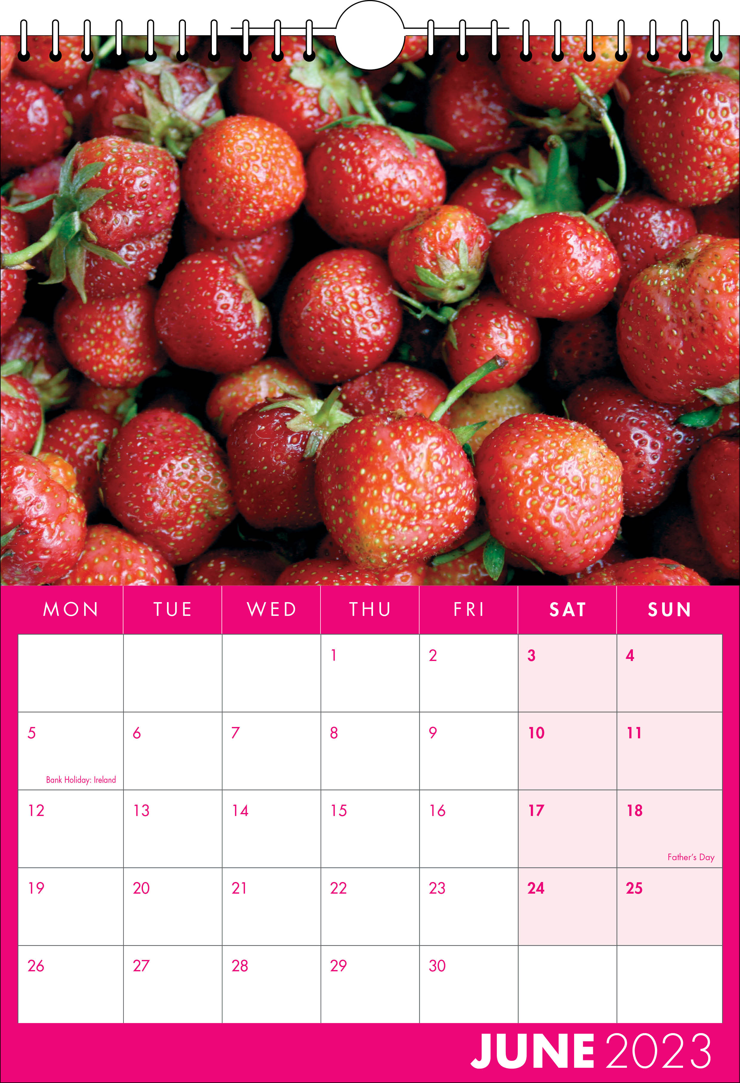 Picture of Spiral Calendar S17 Hot Pink