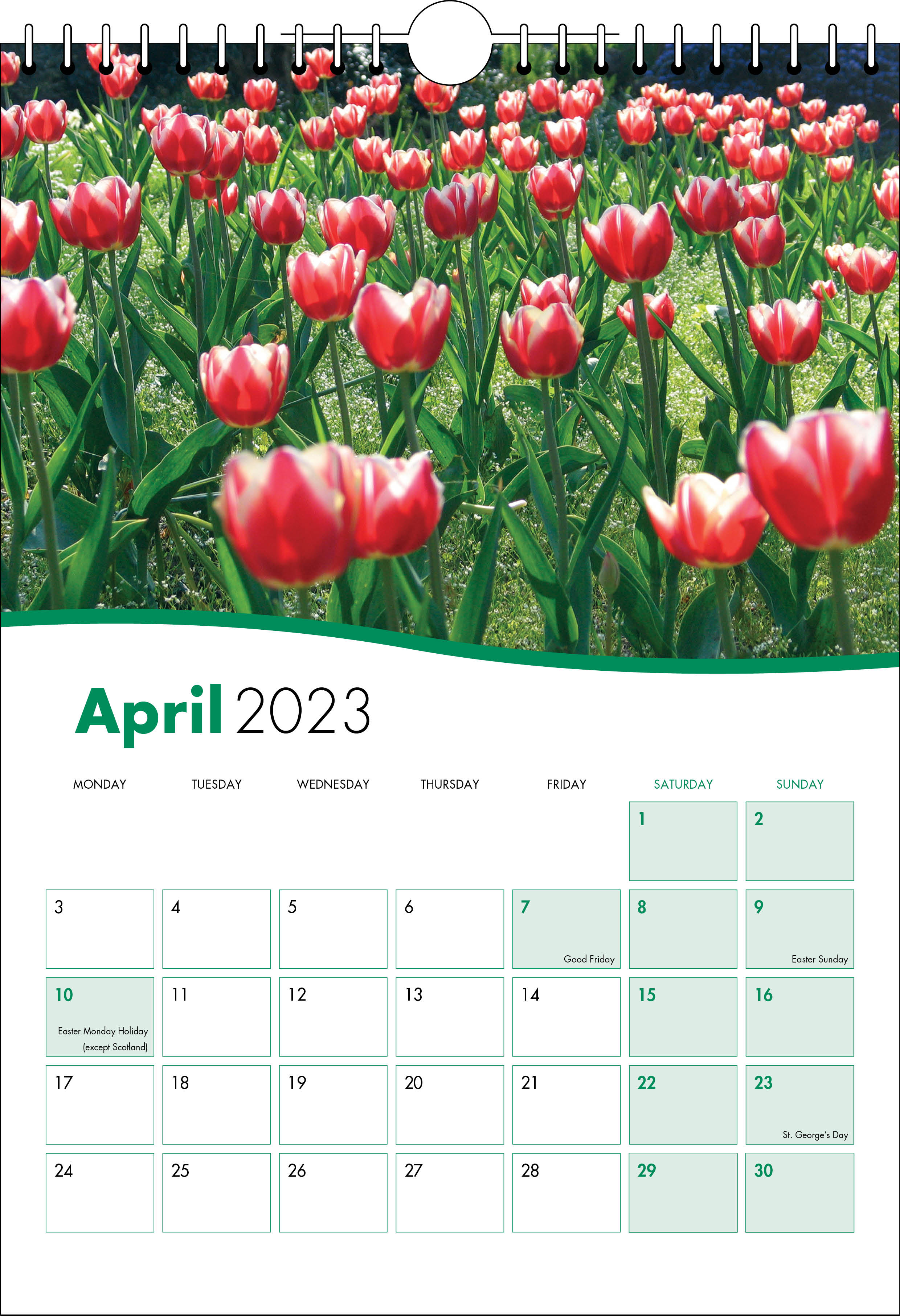 Picture of Spiral Calendar S02 Green