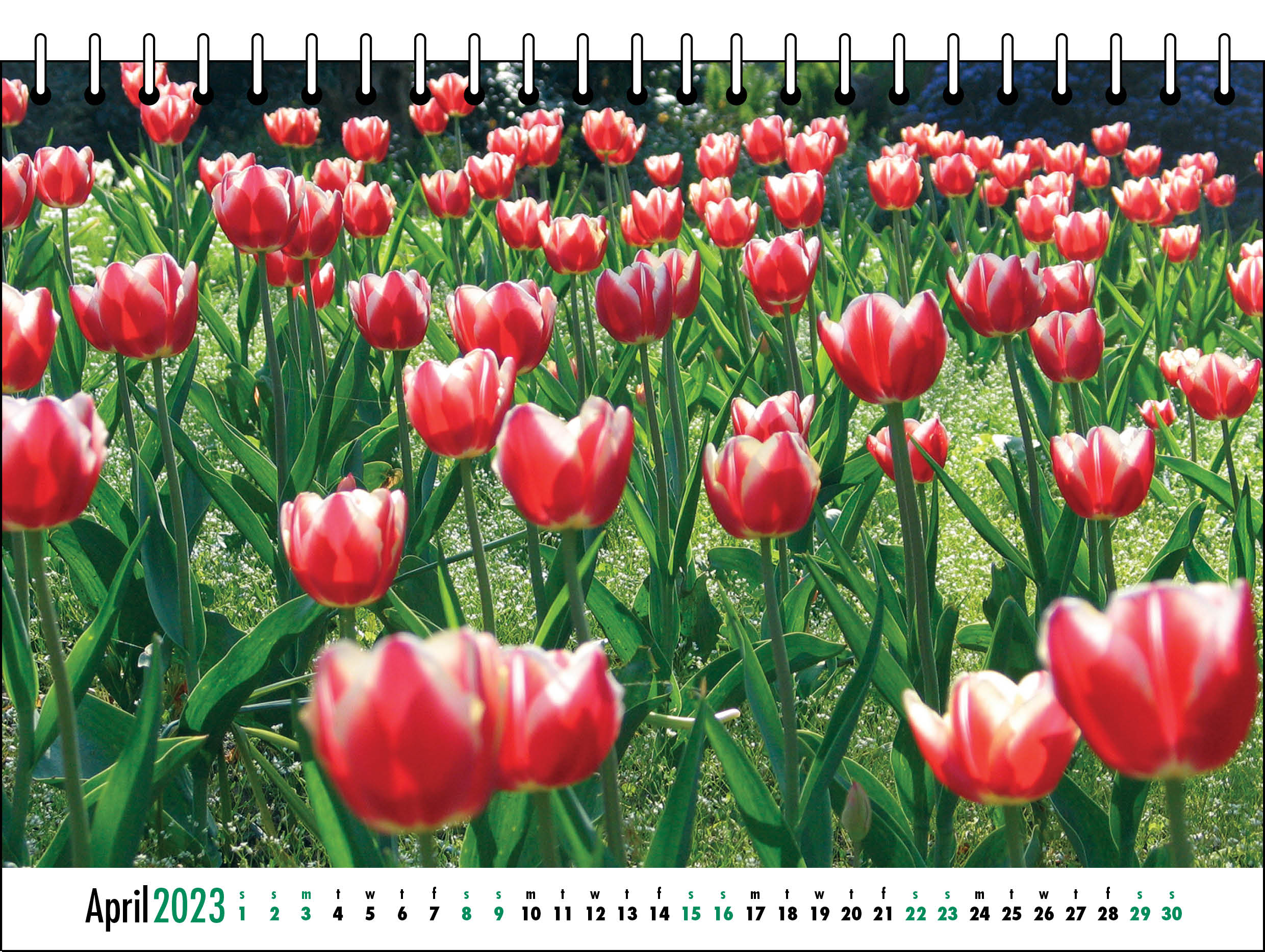 Picture of Desk Calendar D02 Green