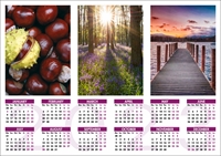 Picture of Yearplanner W05 Purple