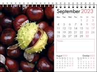 Picture of Desk Calendar D03 Red