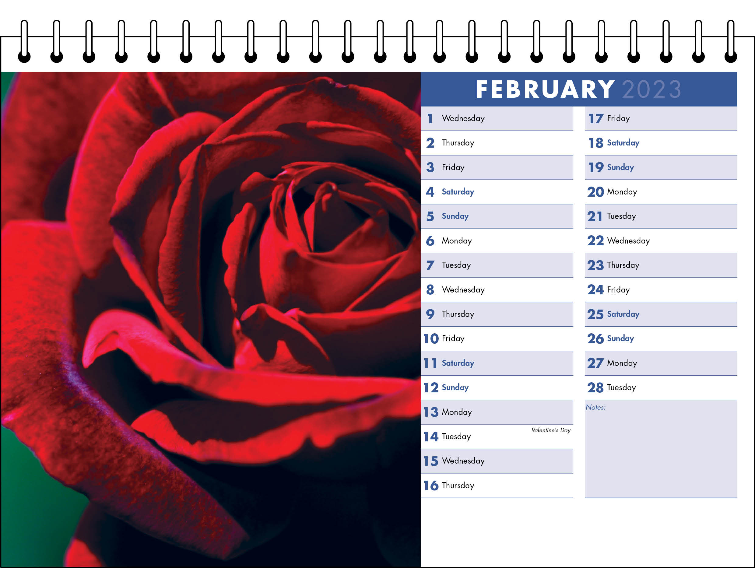 Picture of Desk Calendar D07 Blue