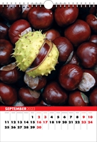 Picture of Spiral Calendar S05 Red