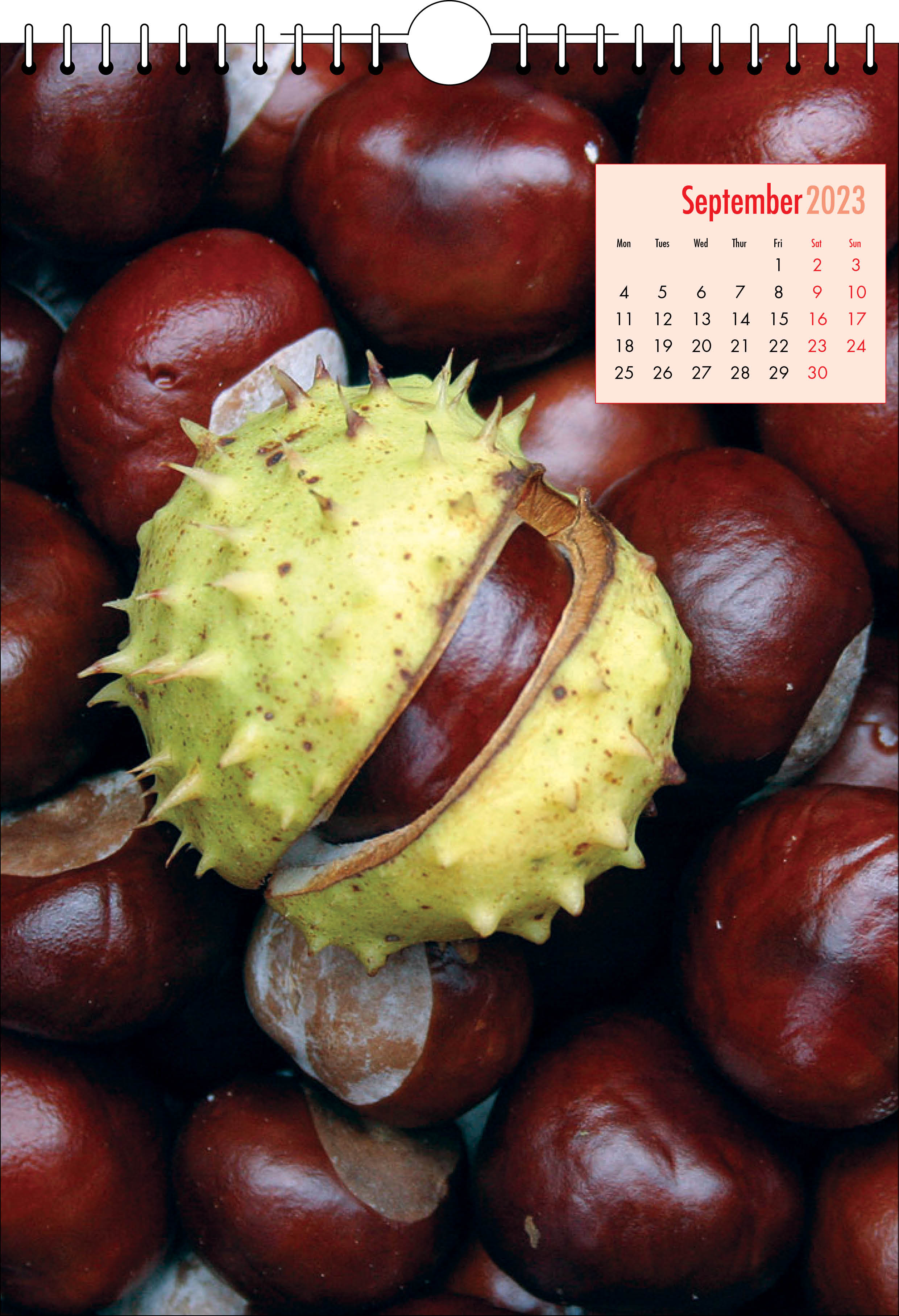 Picture of Spiral Calendar S12 Red