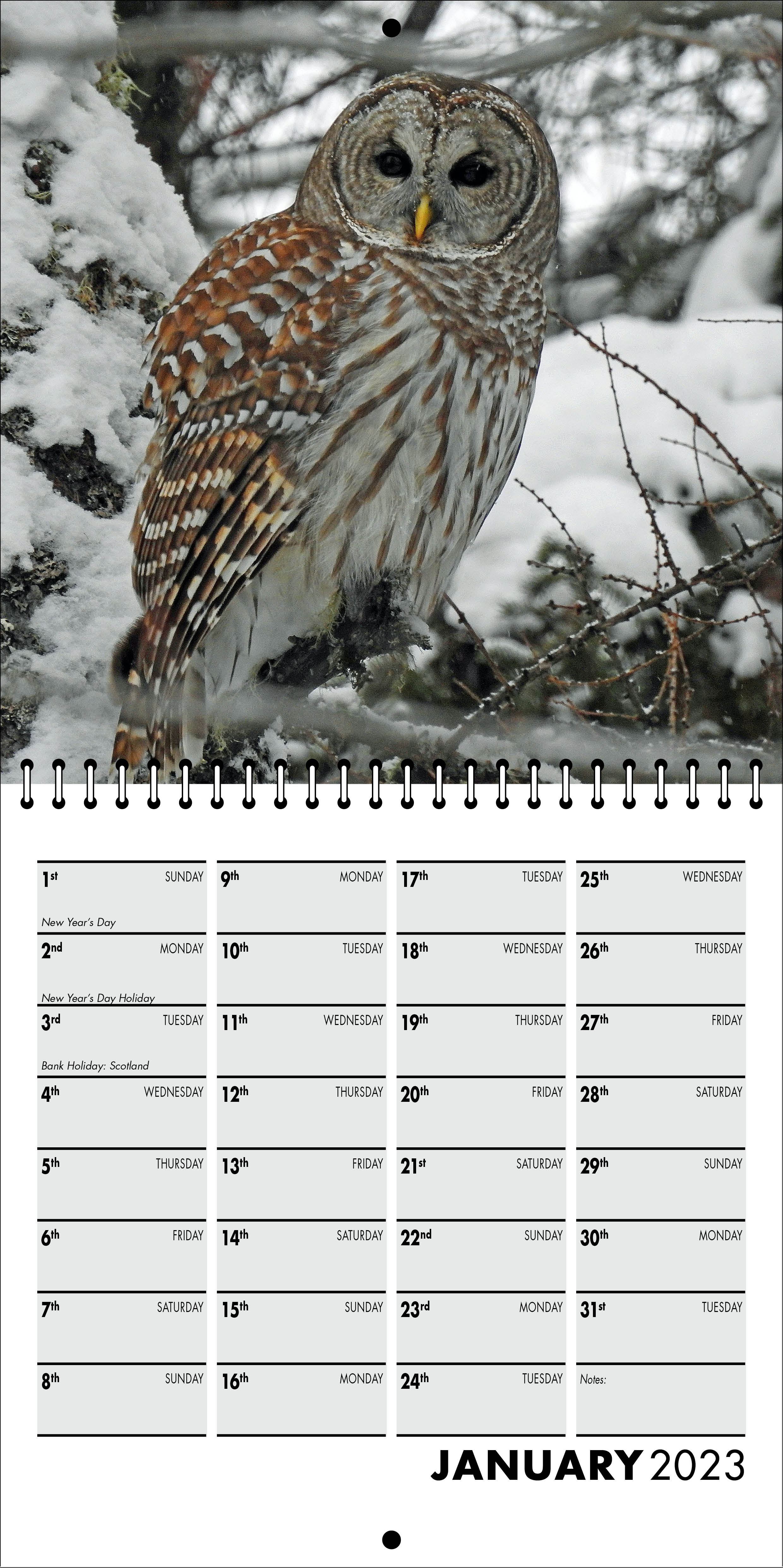 Picture of Square Spiral Booklet Calendar QF04 Black