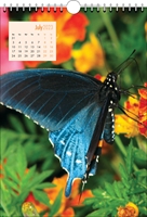 Picture of Spiral Calendar S12 Orange