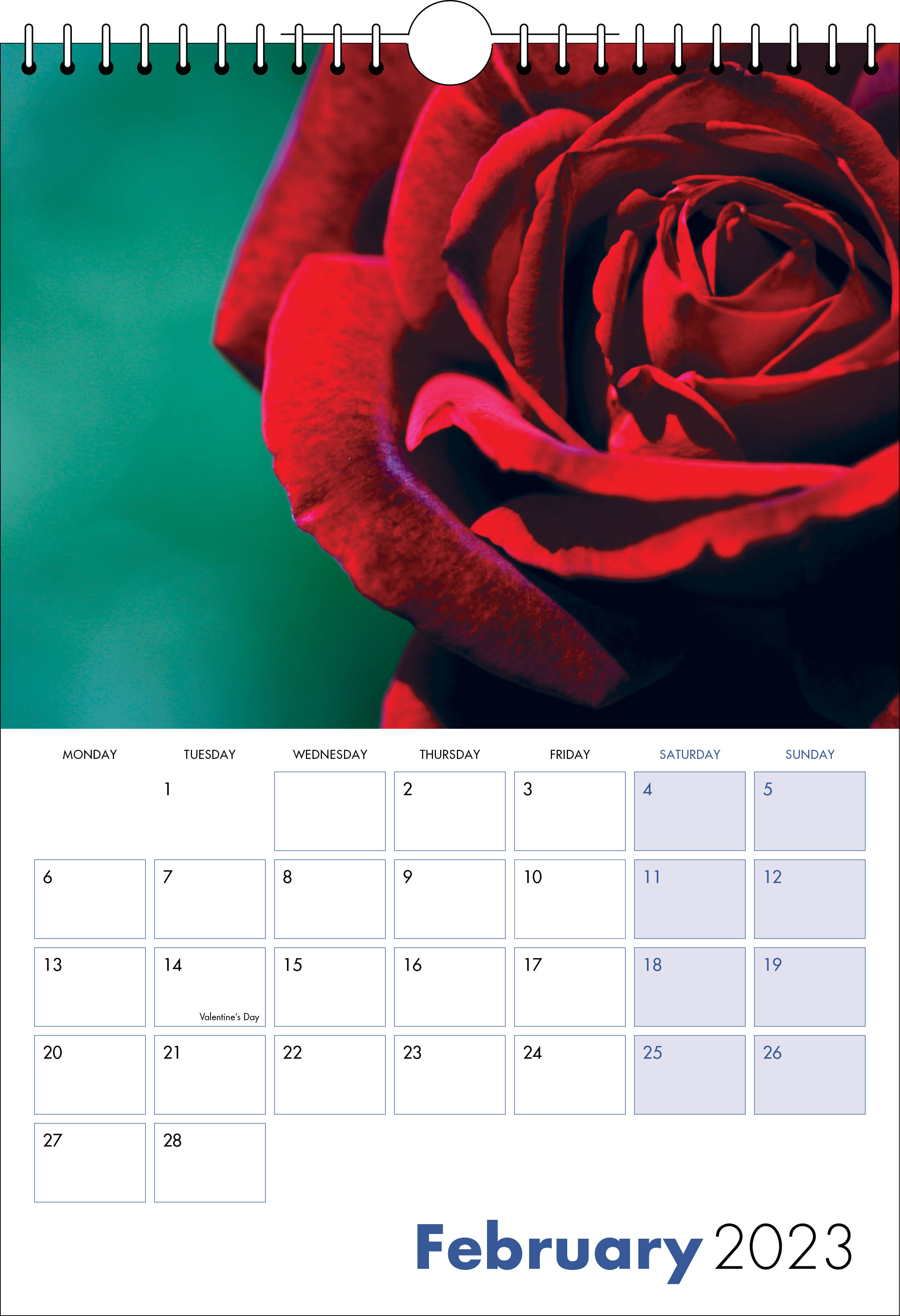 Picture of Spiral Calendar S11 Blue