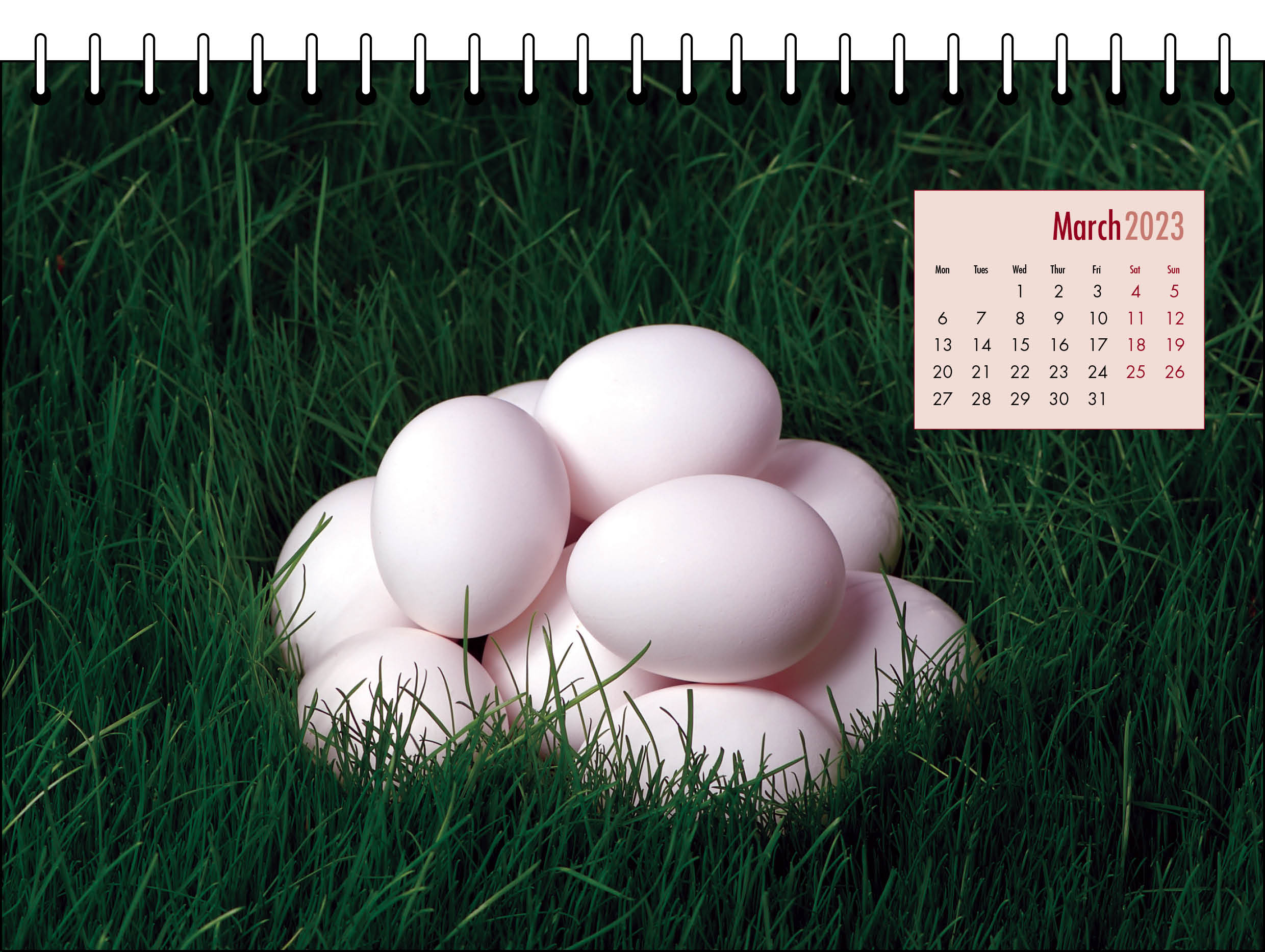 Picture of Desk Calendar D12 Burgundy