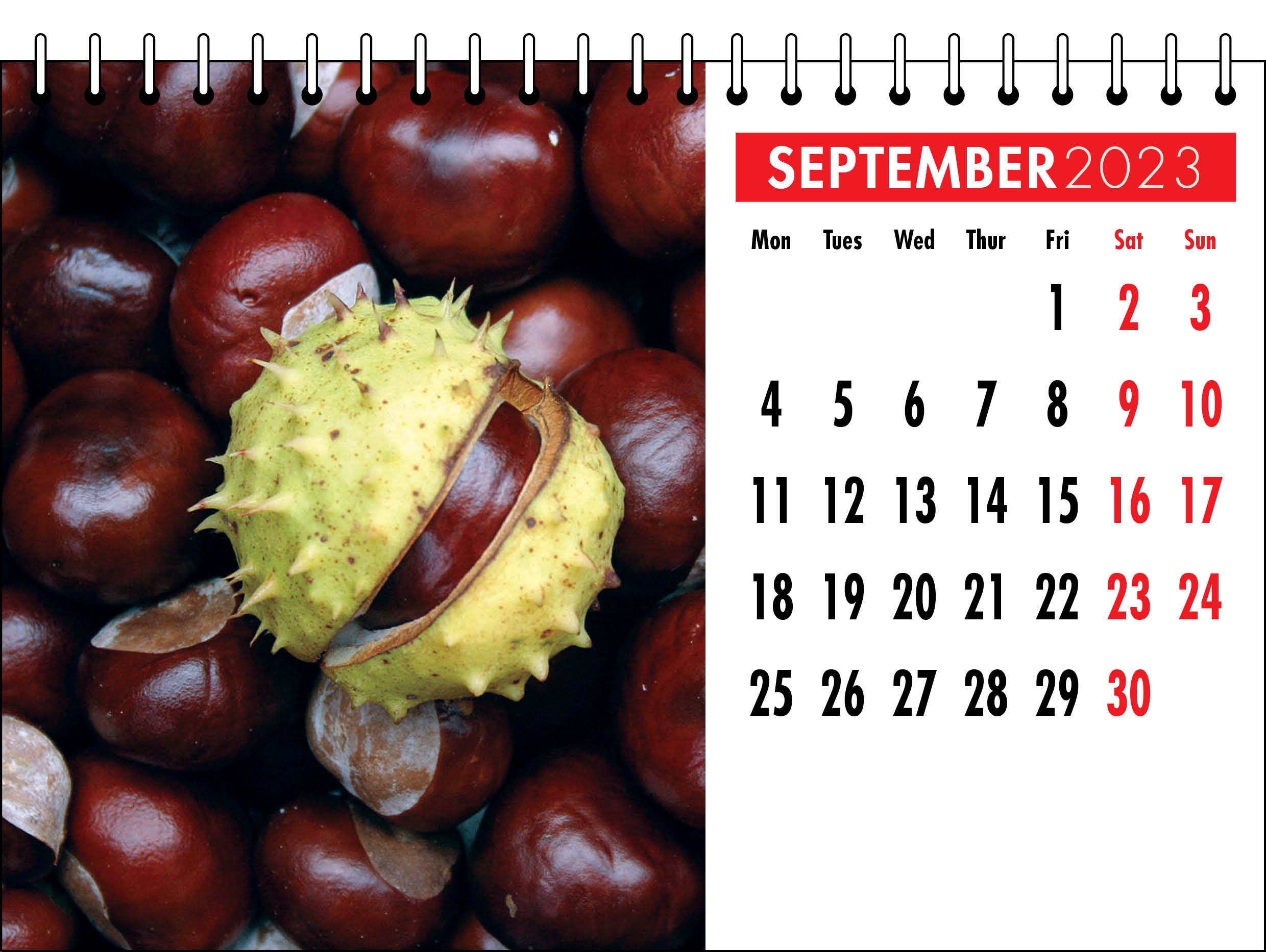 Picture of Desk Calendar D06 Red