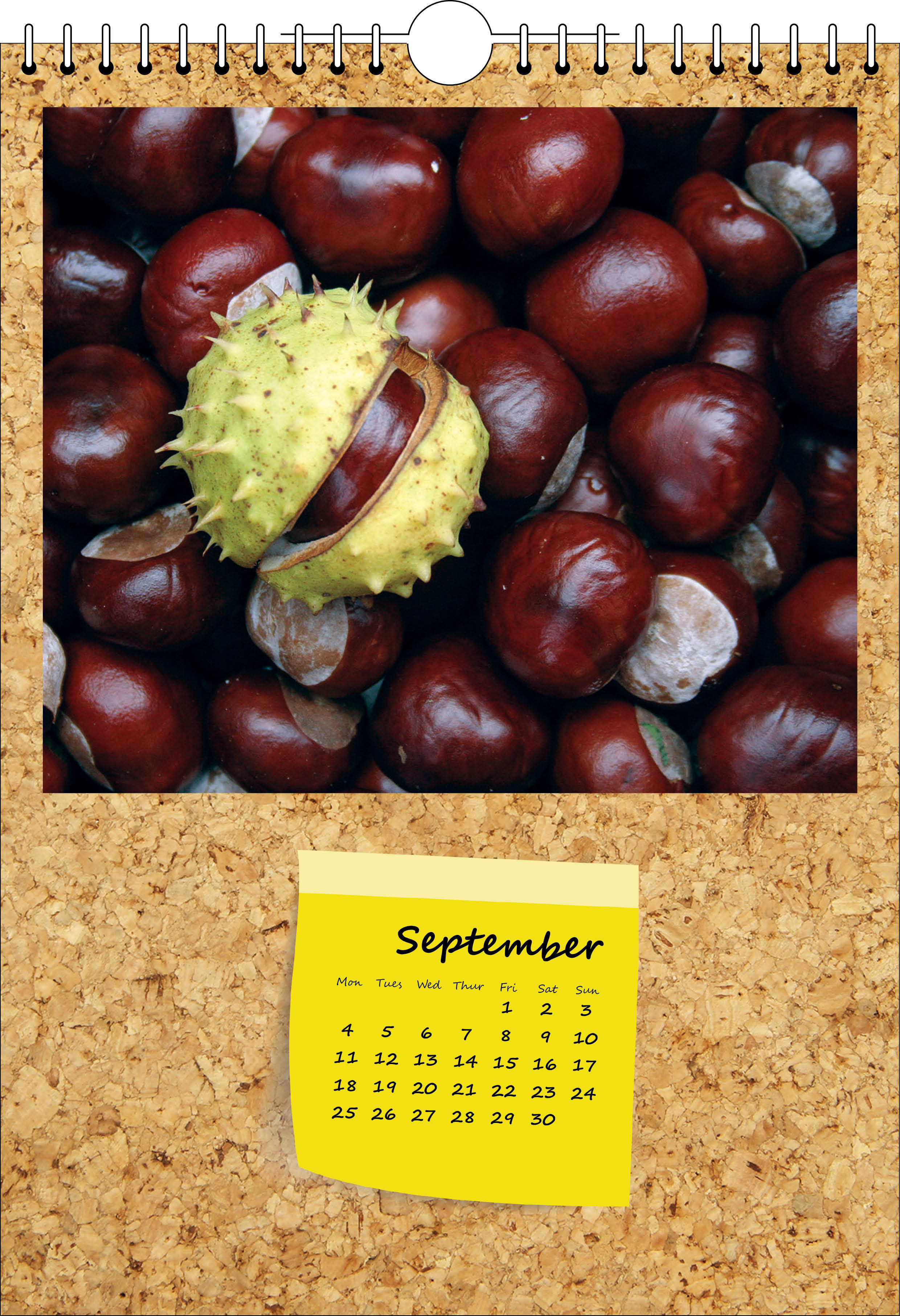 Picture of Spiral Calendar S15 Yellow