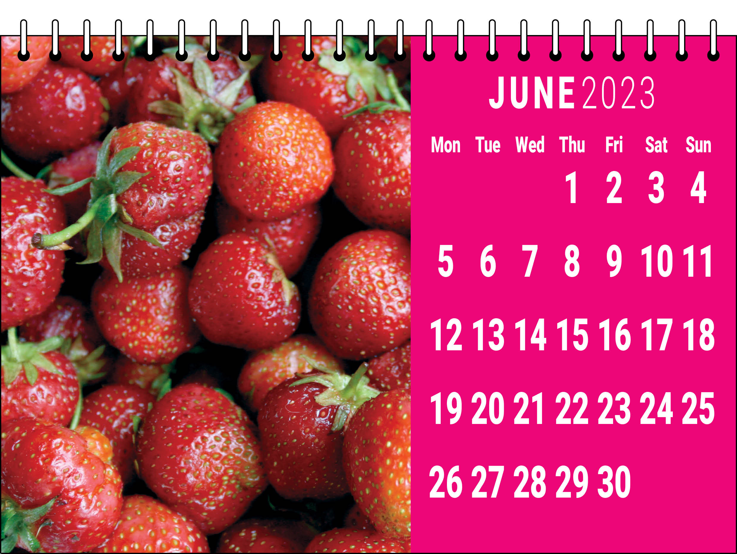 Picture of Desk Calendar D08 Hot Pink