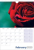 Picture of Spiral Calendar S11 Blue