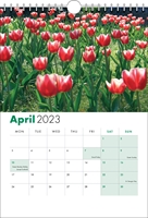 Picture of Spiral Calendar S07 Green