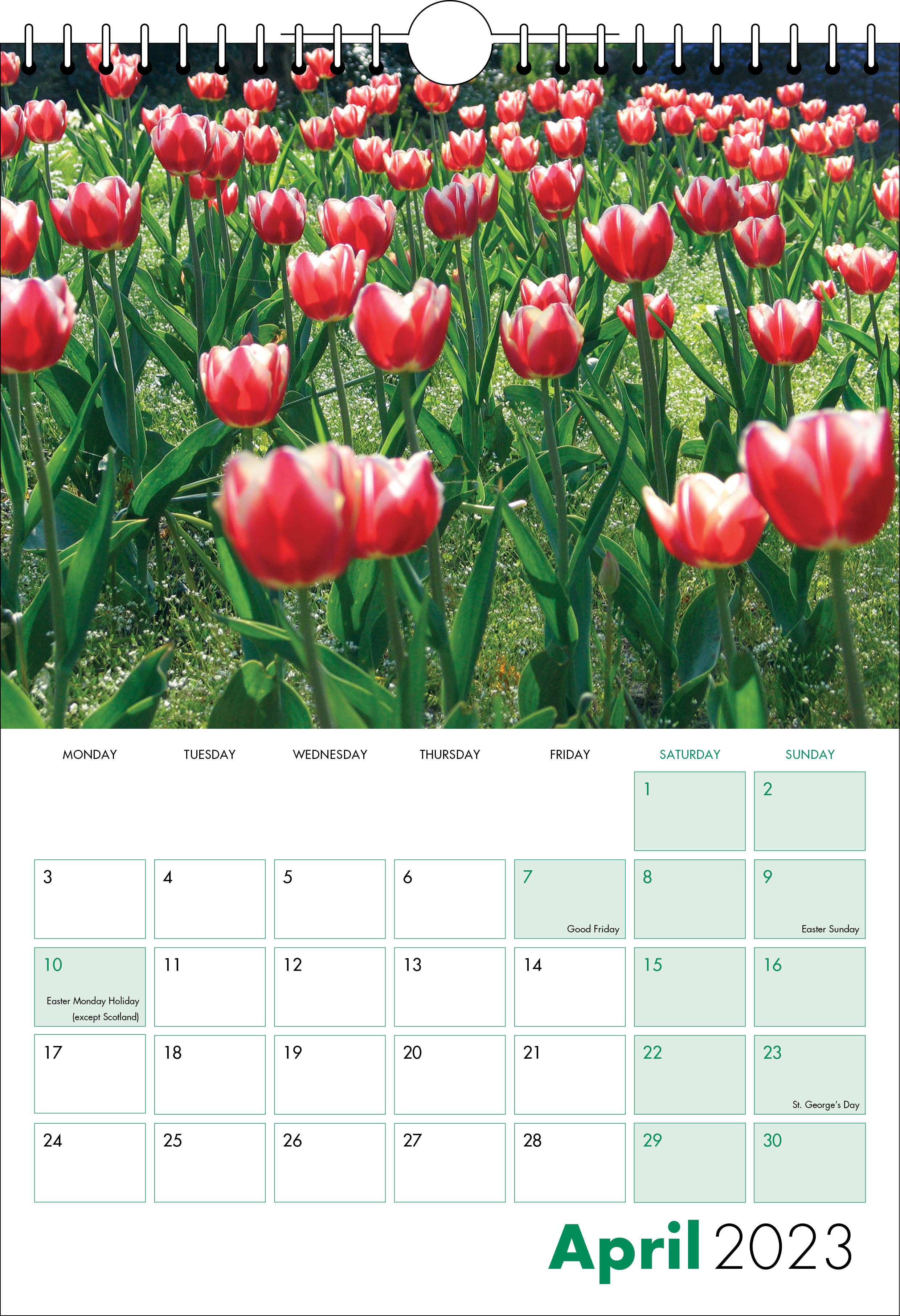 Picture of Spiral Calendar S11 Green