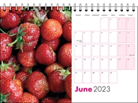 Picture of Desk Calendar D11 Hot Pink