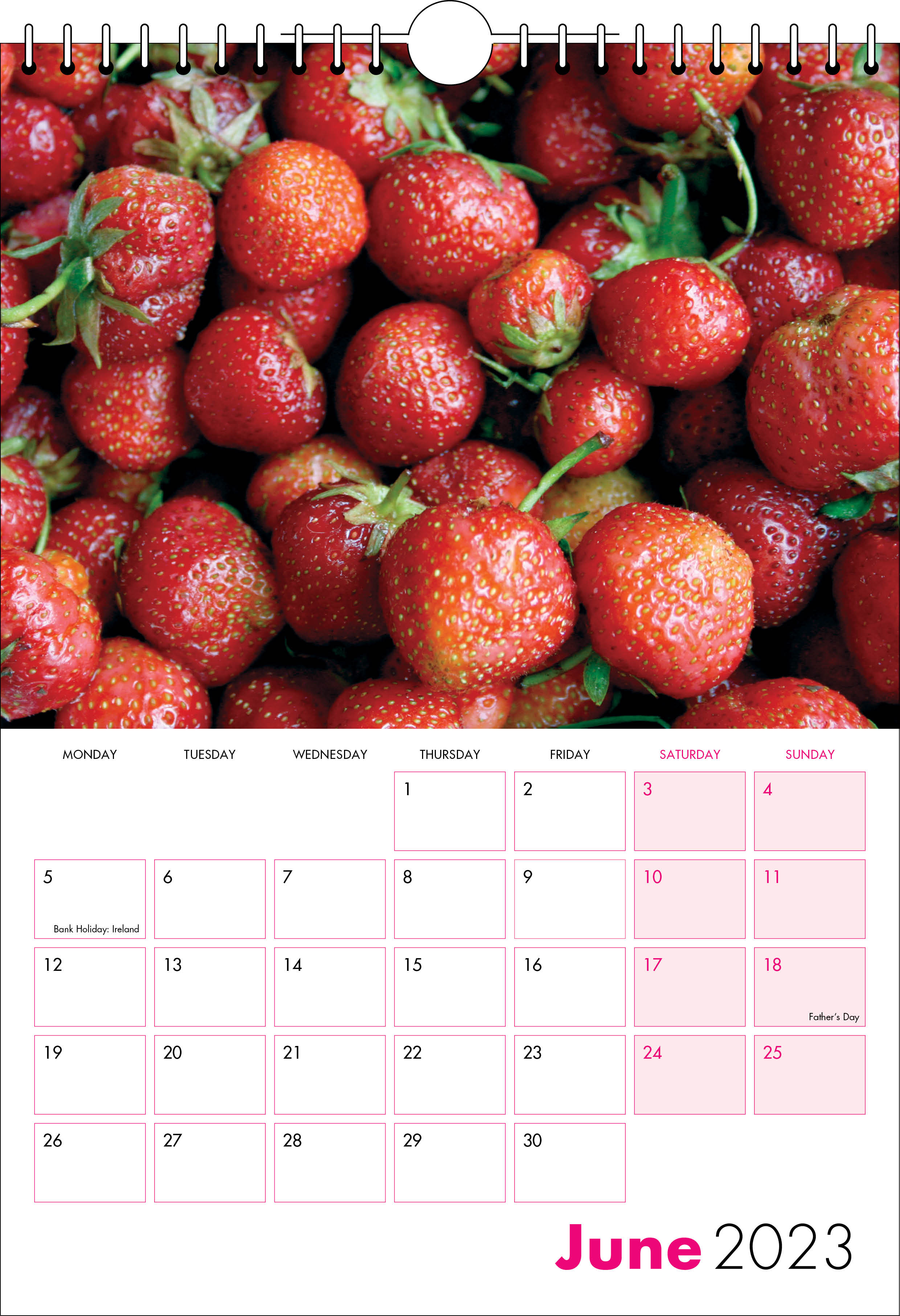 Picture of Spiral Calendar S11 Hot Pink