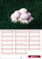 Picture of Spiral Booklet Calendar F04 Burgundy