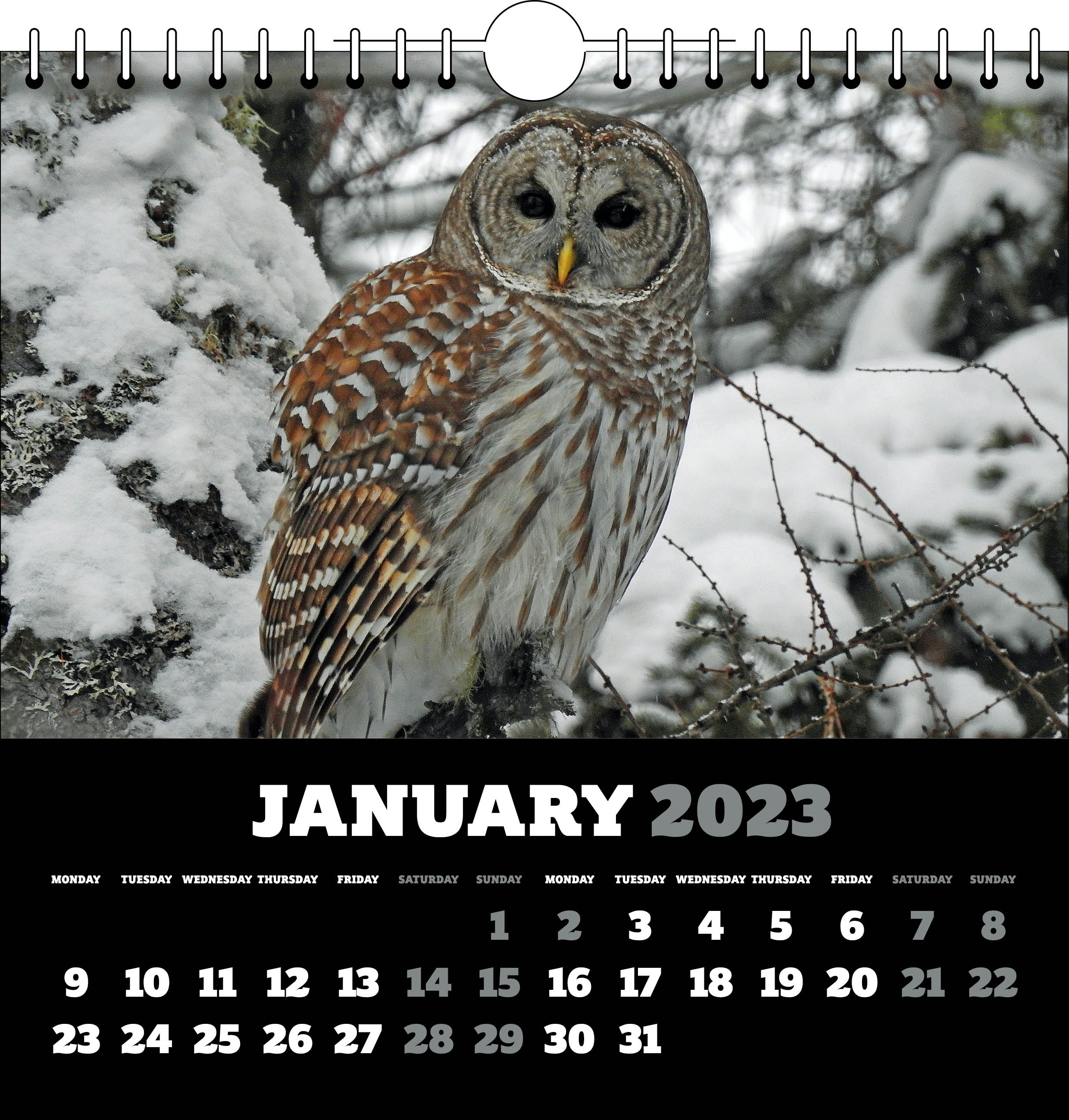 Picture of Spiral Calendar Q19 Black