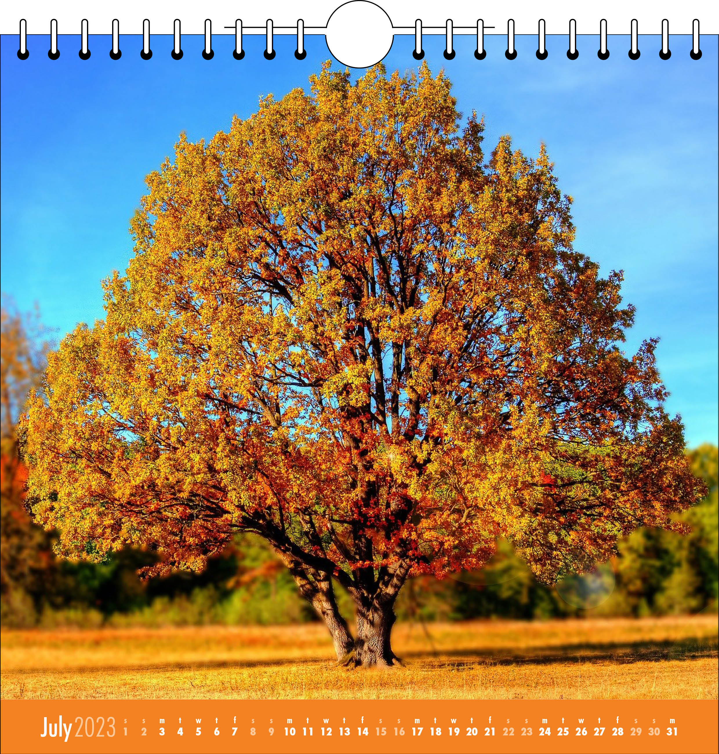 Picture of Spiral Calendar Q09 Orange