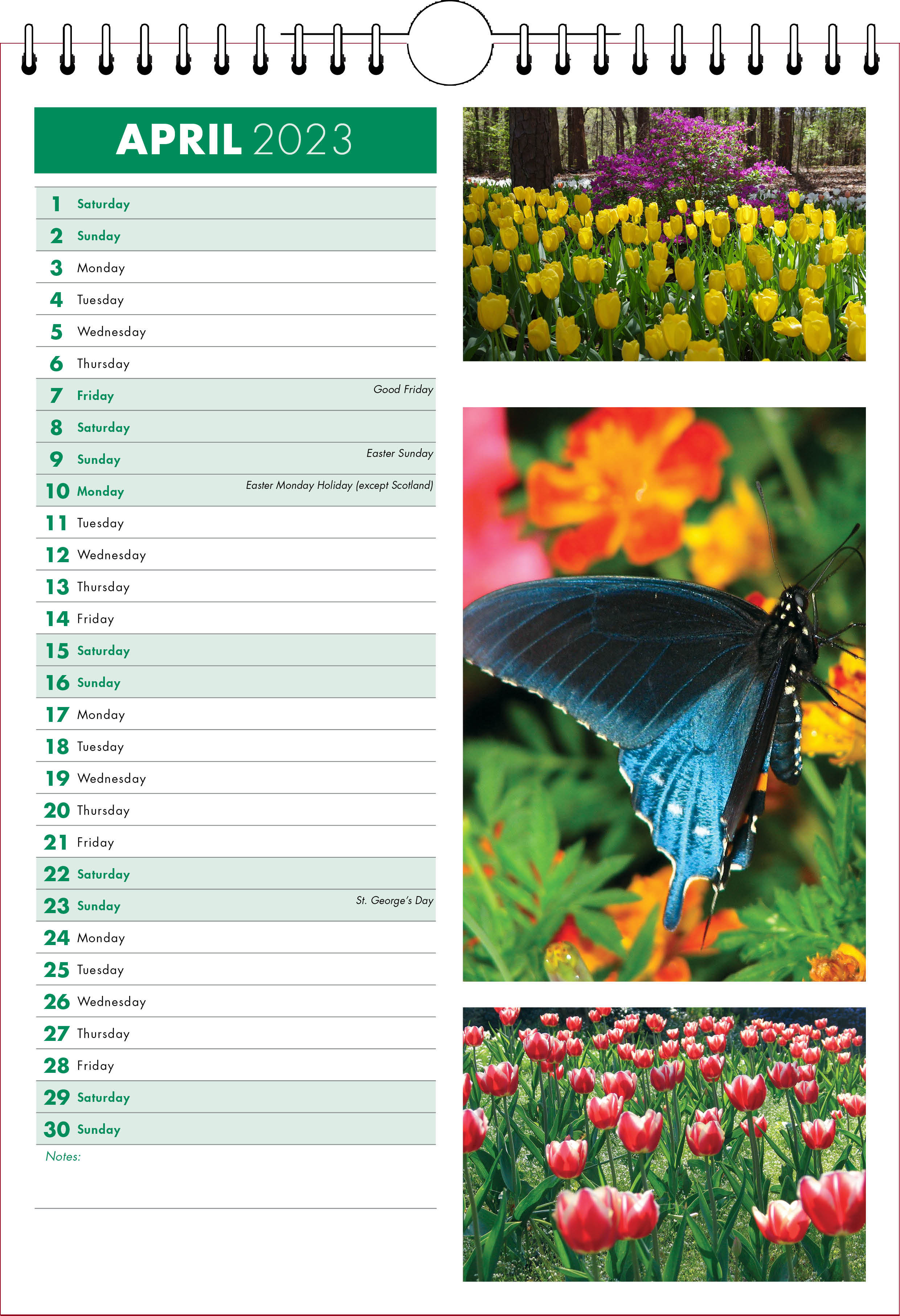 Picture of Spiral Calendar S22 Green