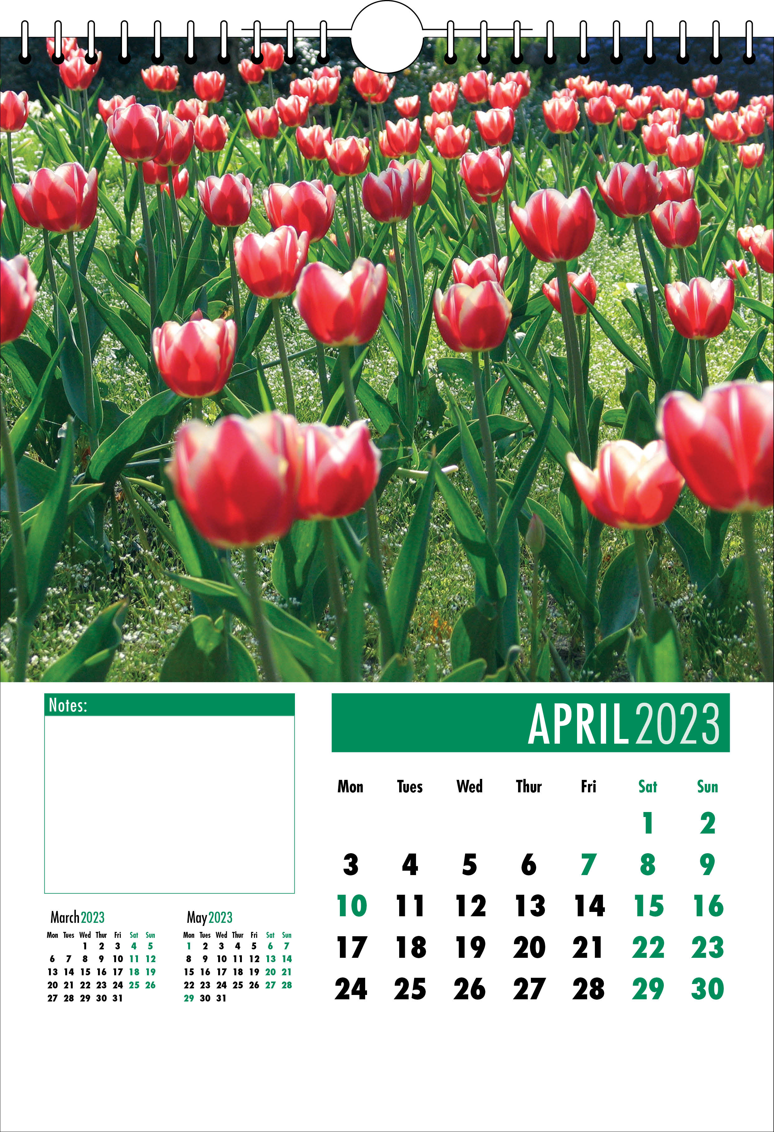 Picture of Spiral Calendar S06 Green