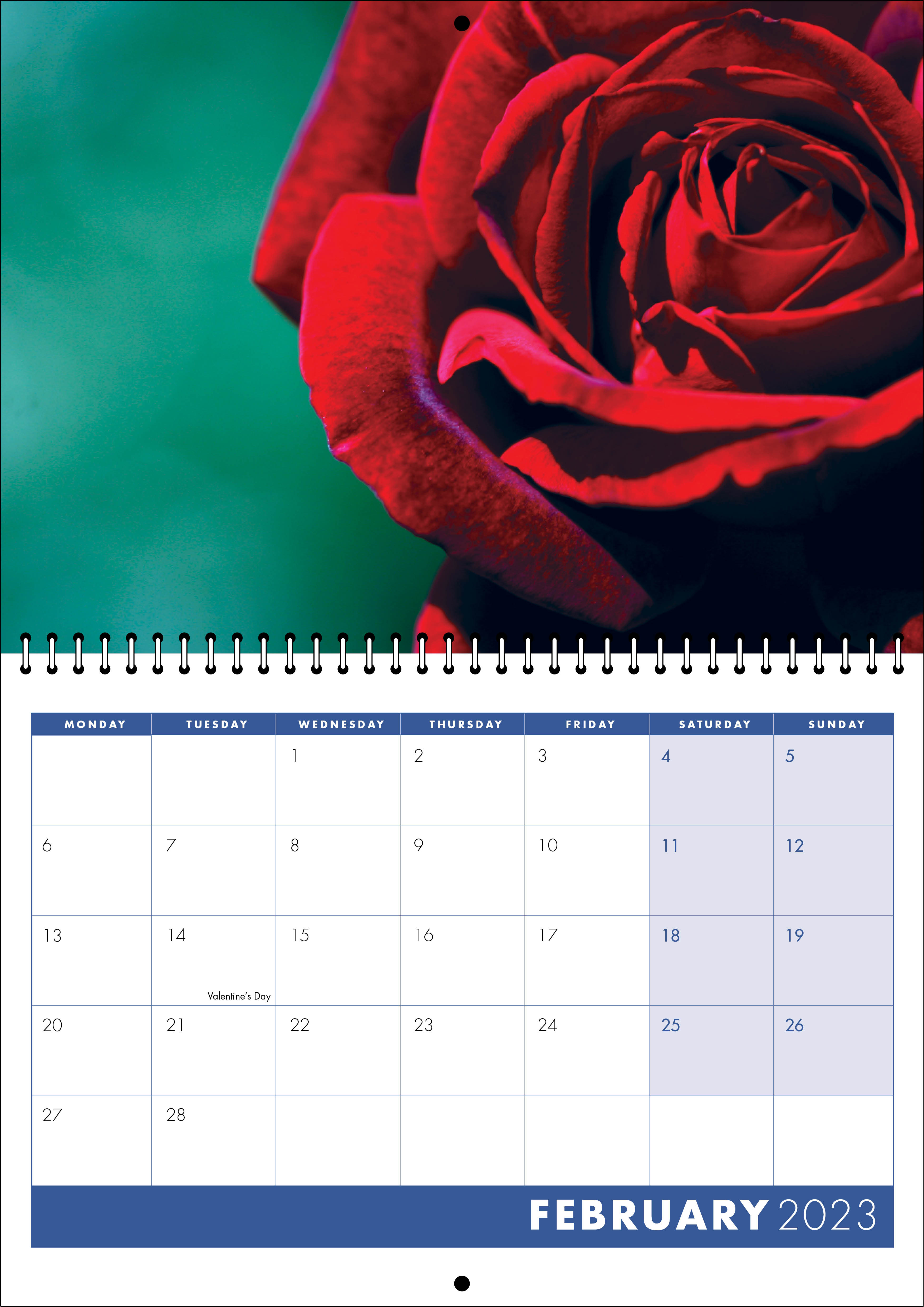 Picture of Spiral Booklet Calendar F03 Blue