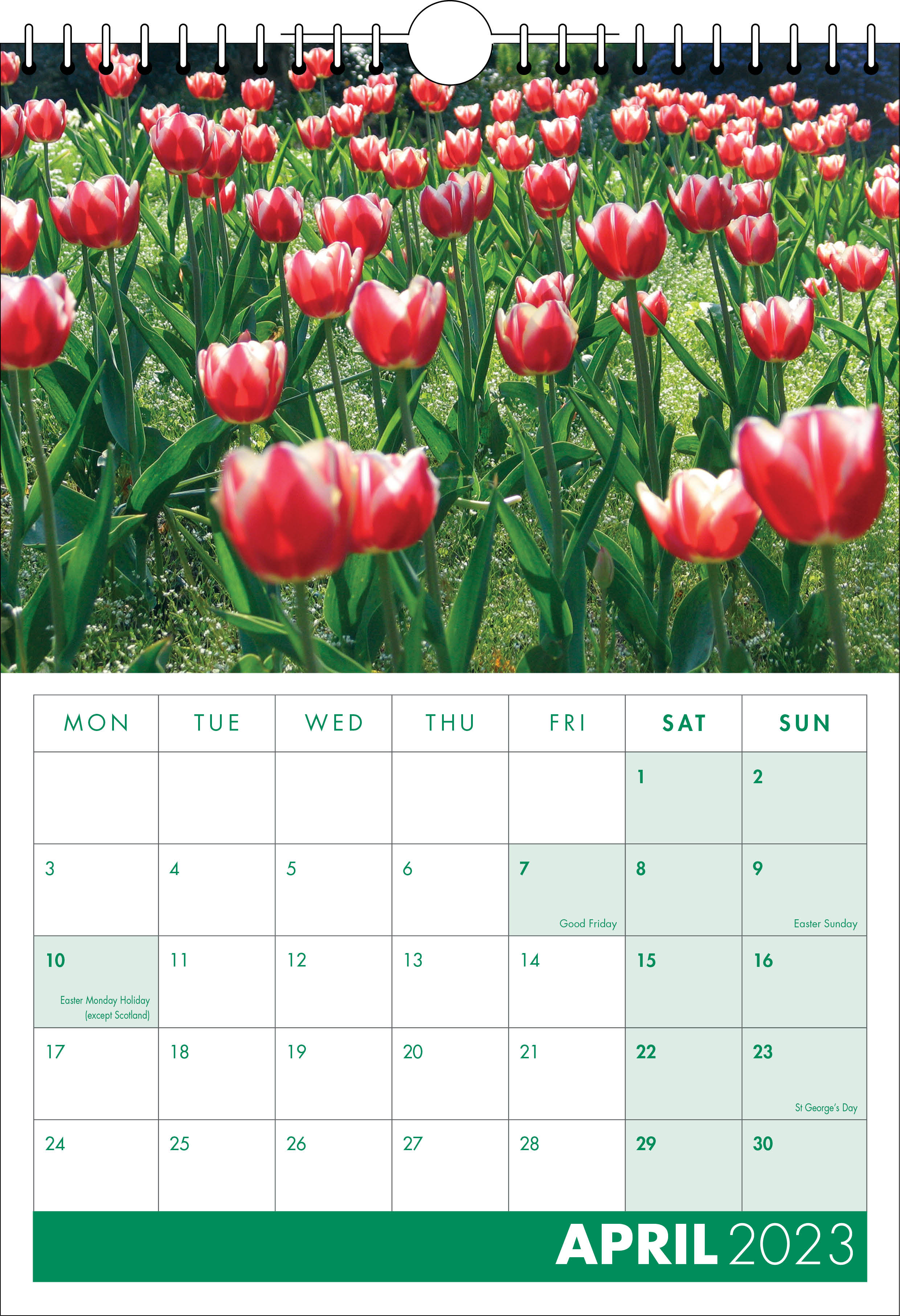Picture of Spiral Calendar S18 Green