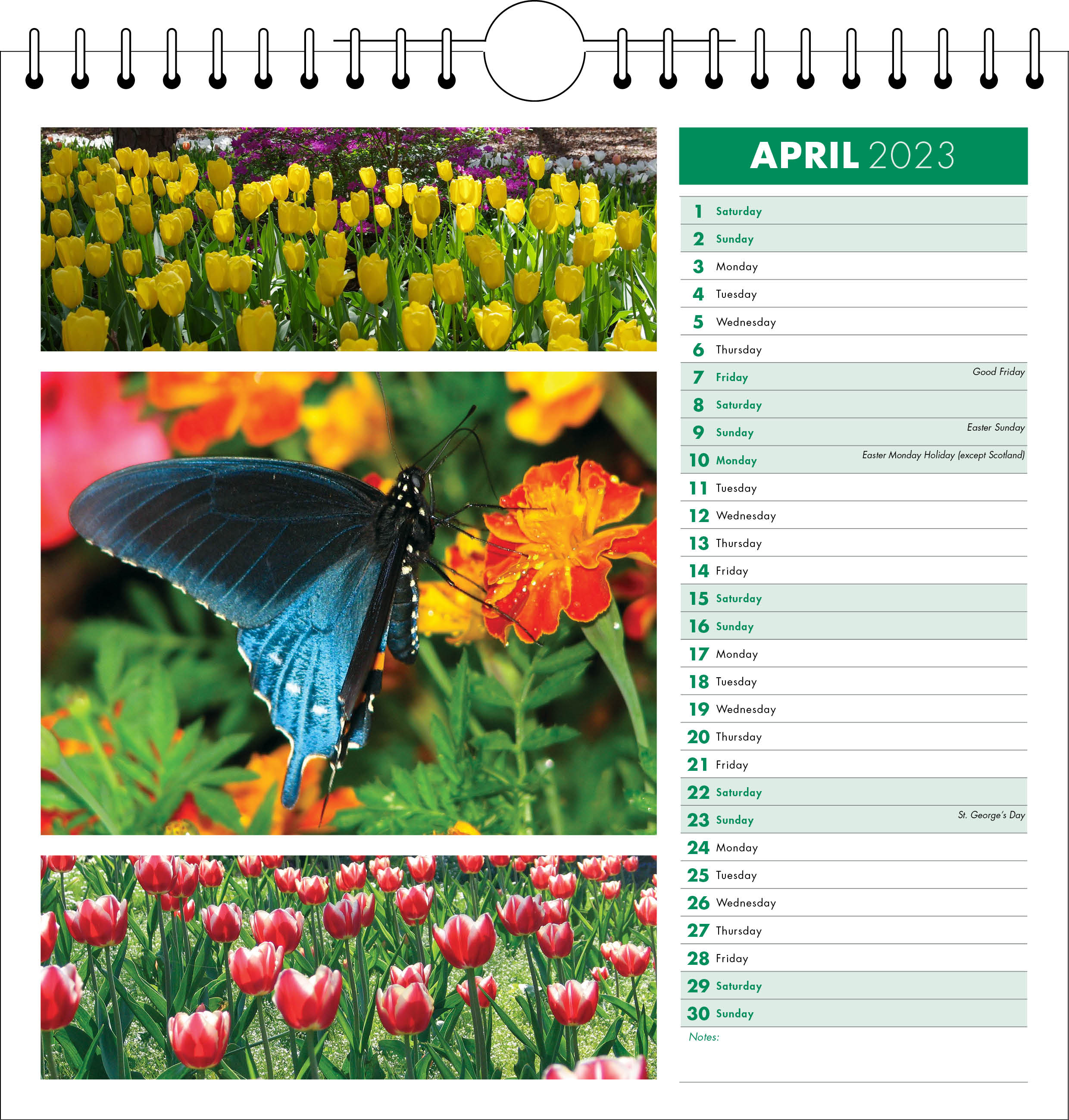 Picture of Spiral Calendar Q20 Green