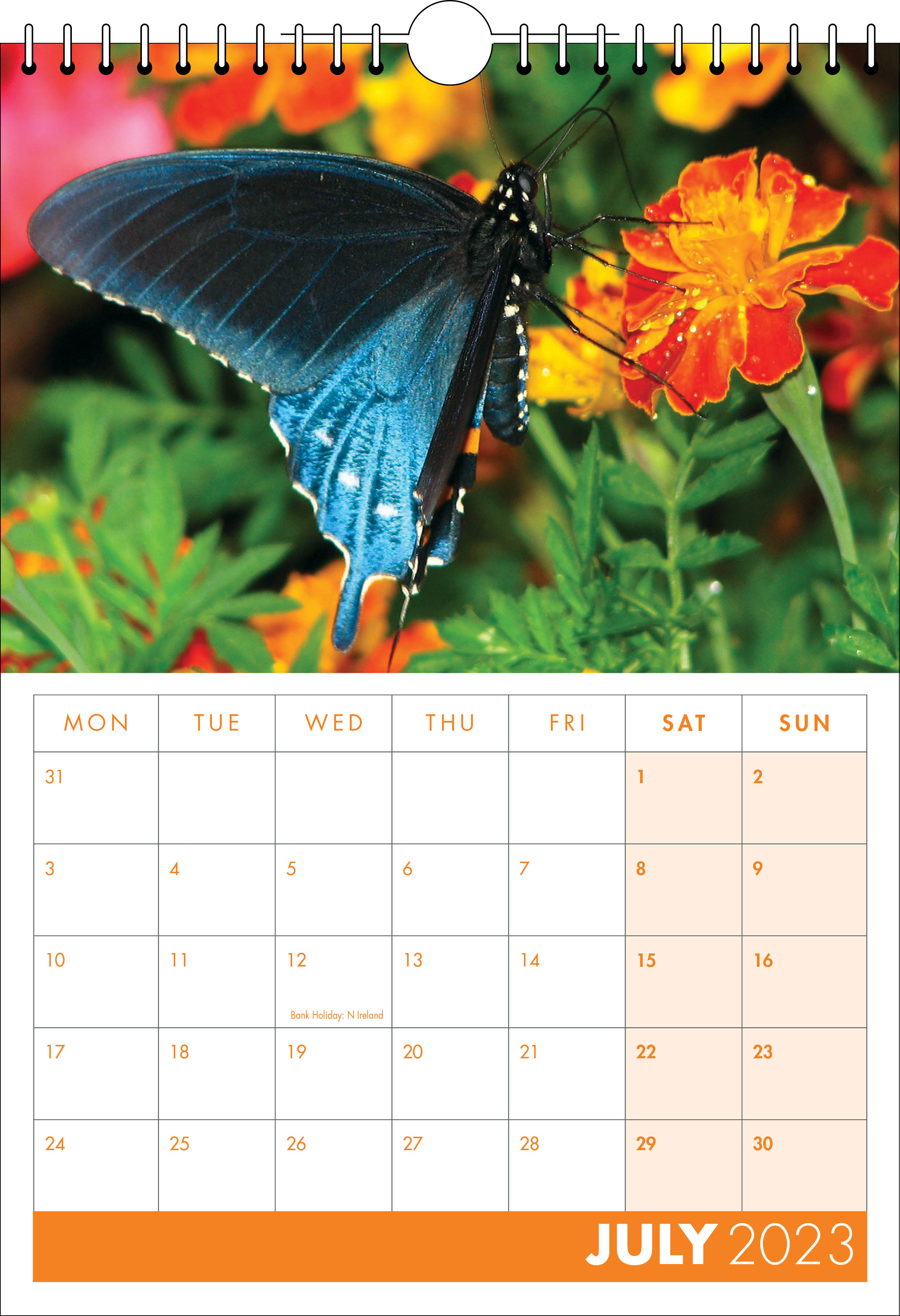 Picture of Spiral Calendar S18 Orange