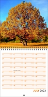 Picture of Square Spiral Booklet Calendar QF04 Orange
